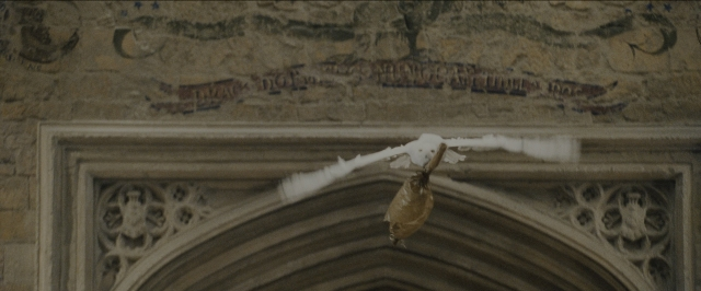 Wide shot frame from Harry Potter and the Sorcerer's Stone — bird, window