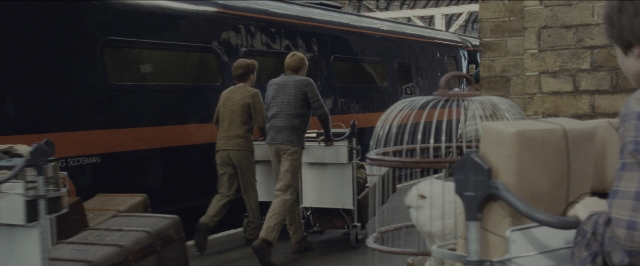 Wide shot frame from Harry Potter and the Sorcerer's Stone — walking, train, bird