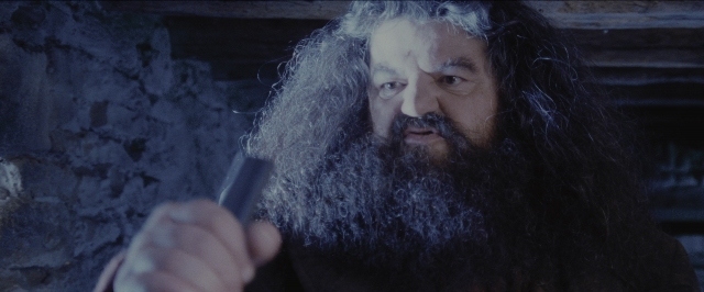 Wide shot frame from Harry Potter and the Sorcerer's Stone — standing, hand, gun