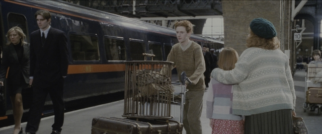 Wide shot frame from Harry Potter and the Sorcerer's Stone — standing, train, bird