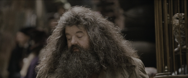 Wide shot frame from Harry Potter and the Sorcerer's Stone — standing, beard, face
