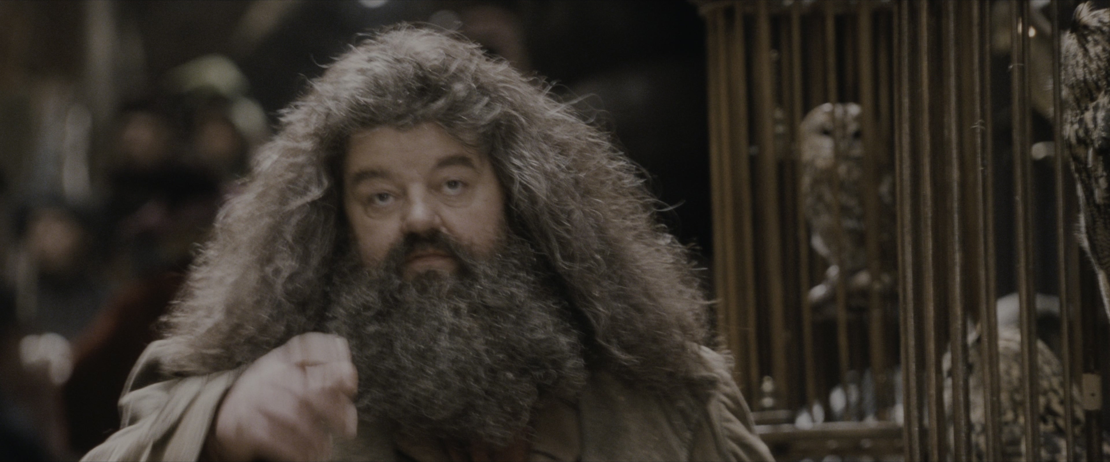 Harry Potter and the Sorcerer's Stone (2001), medium, 2.40:1 — film still