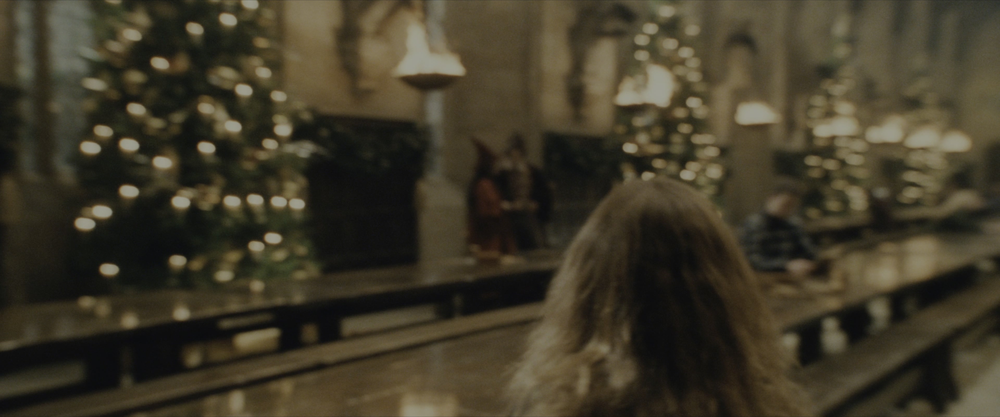 Harry Potter and the Sorcerer's Stone (2001), wide, 2.40:1 — film still