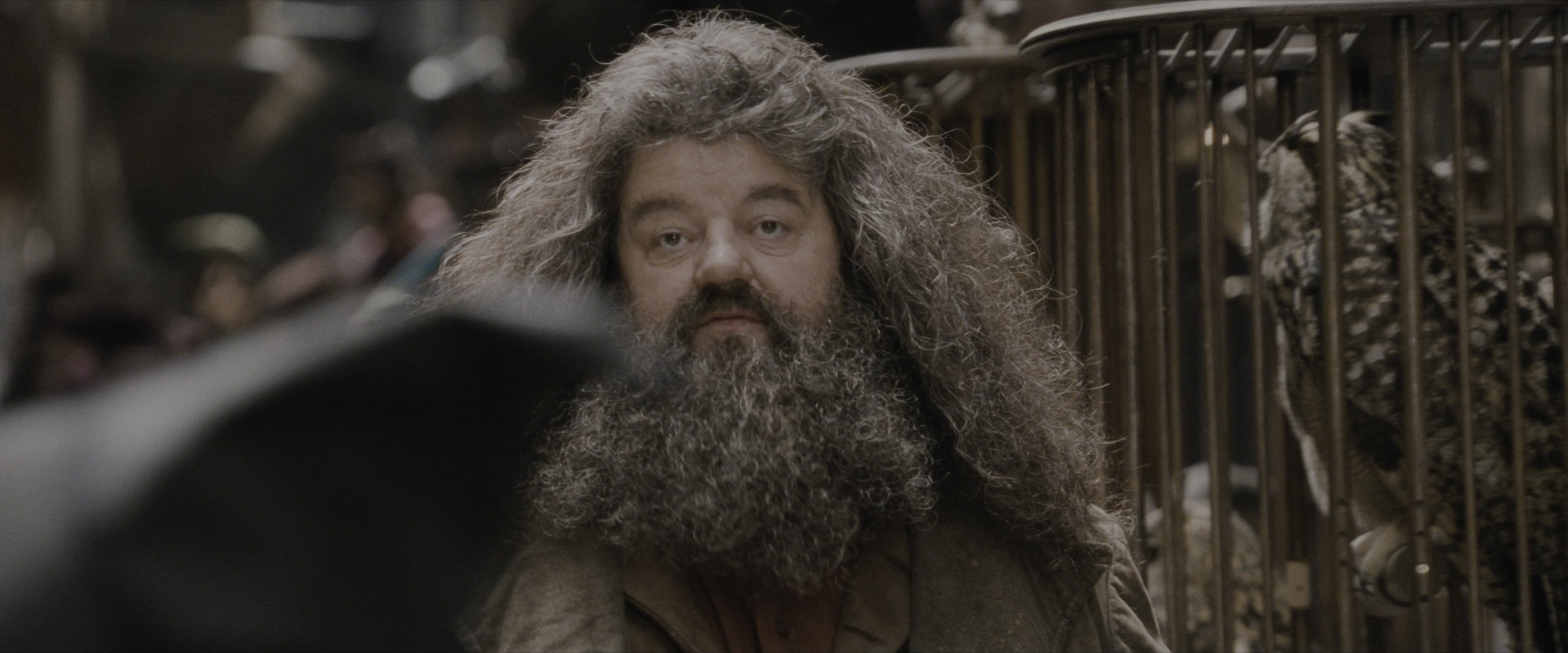 Harry Potter and the Sorcerer's Stone (2001), medium, 2.40:1 — film still