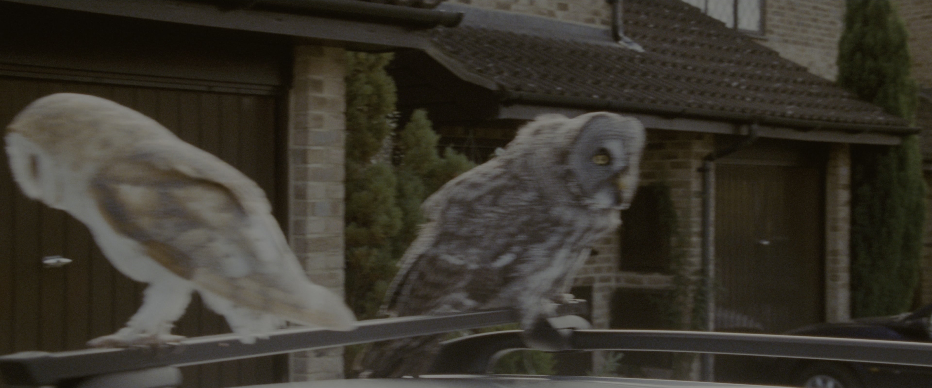 Harry Potter and the Sorcerer's Stone (2001), wide, 2.40:1 — film still