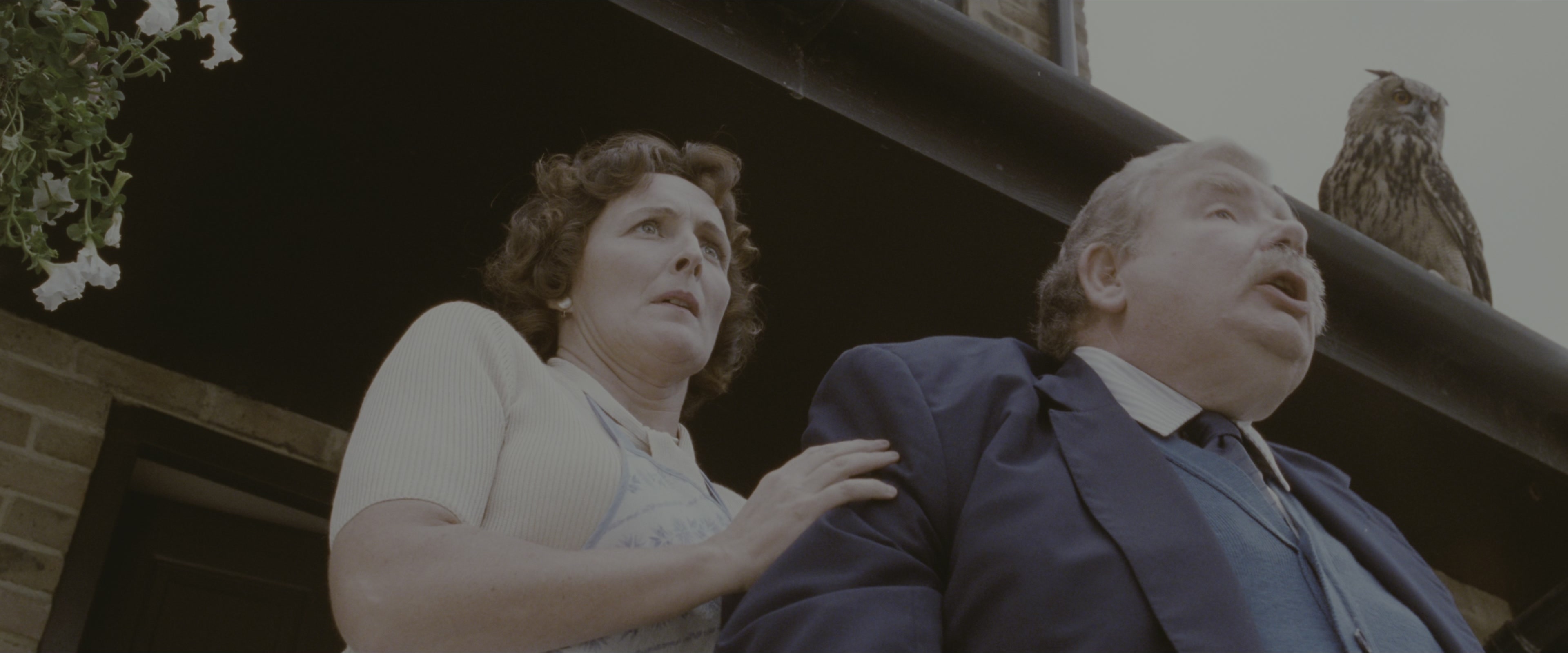 Harry Potter and the Sorcerer's Stone (2001), wide, 2.40:1 — film still