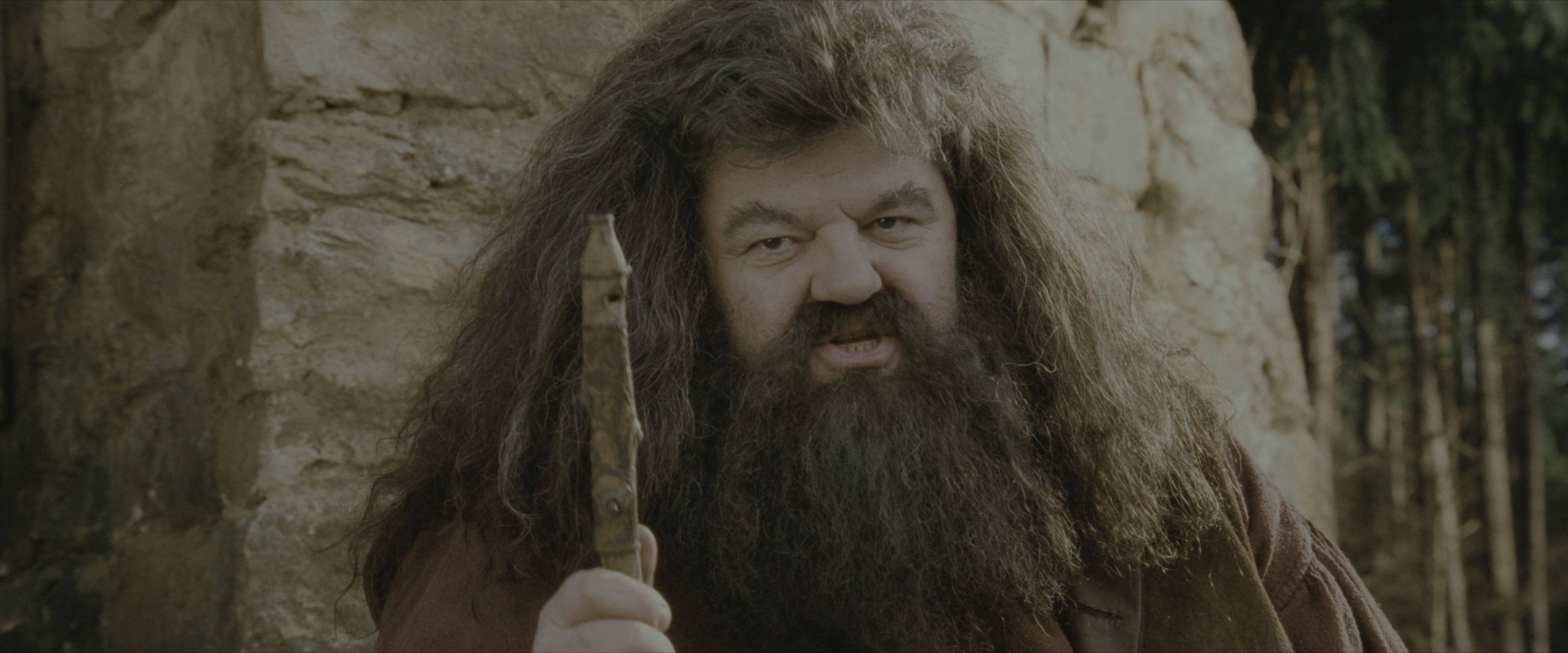 Harry Potter and the Sorcerer's Stone (2001), medium, 2.40:1 — film still