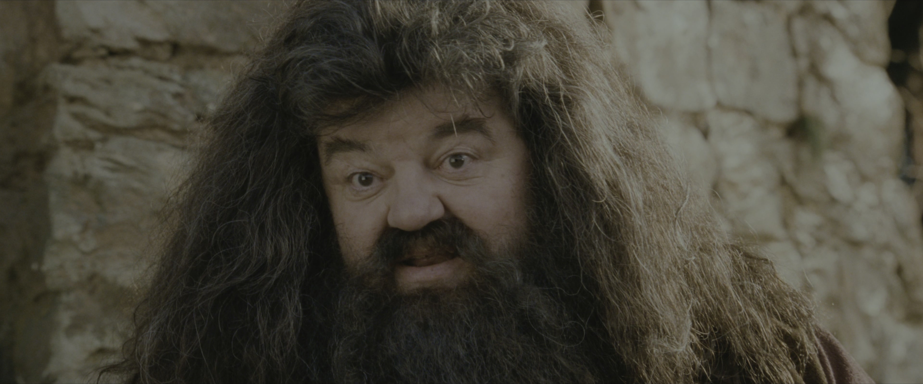 Harry Potter and the Sorcerer's Stone (2001), medium, 2.40:1 — film still