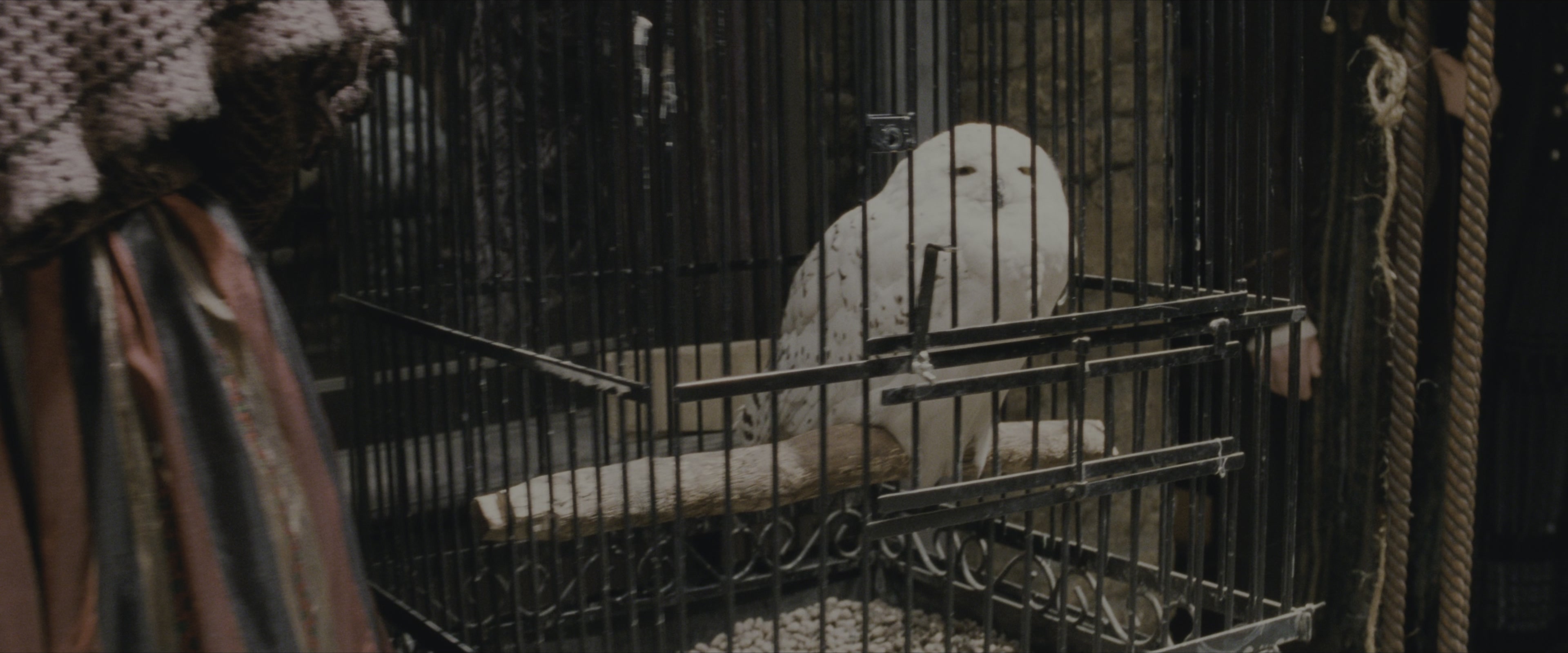Harry Potter and the Sorcerer's Stone (2001), wide, 2.40:1 — film still