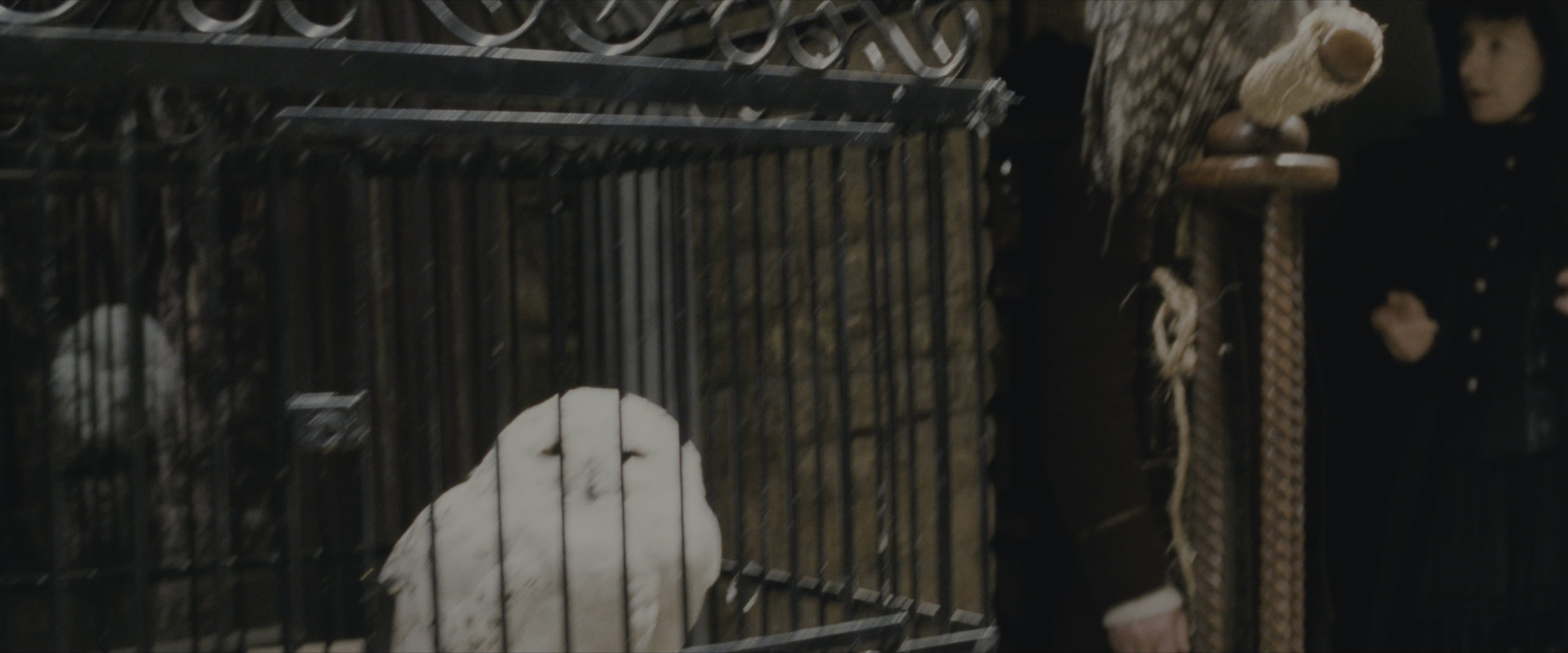 Harry Potter and the Sorcerer's Stone (2001), wide, 2.40:1 — film still