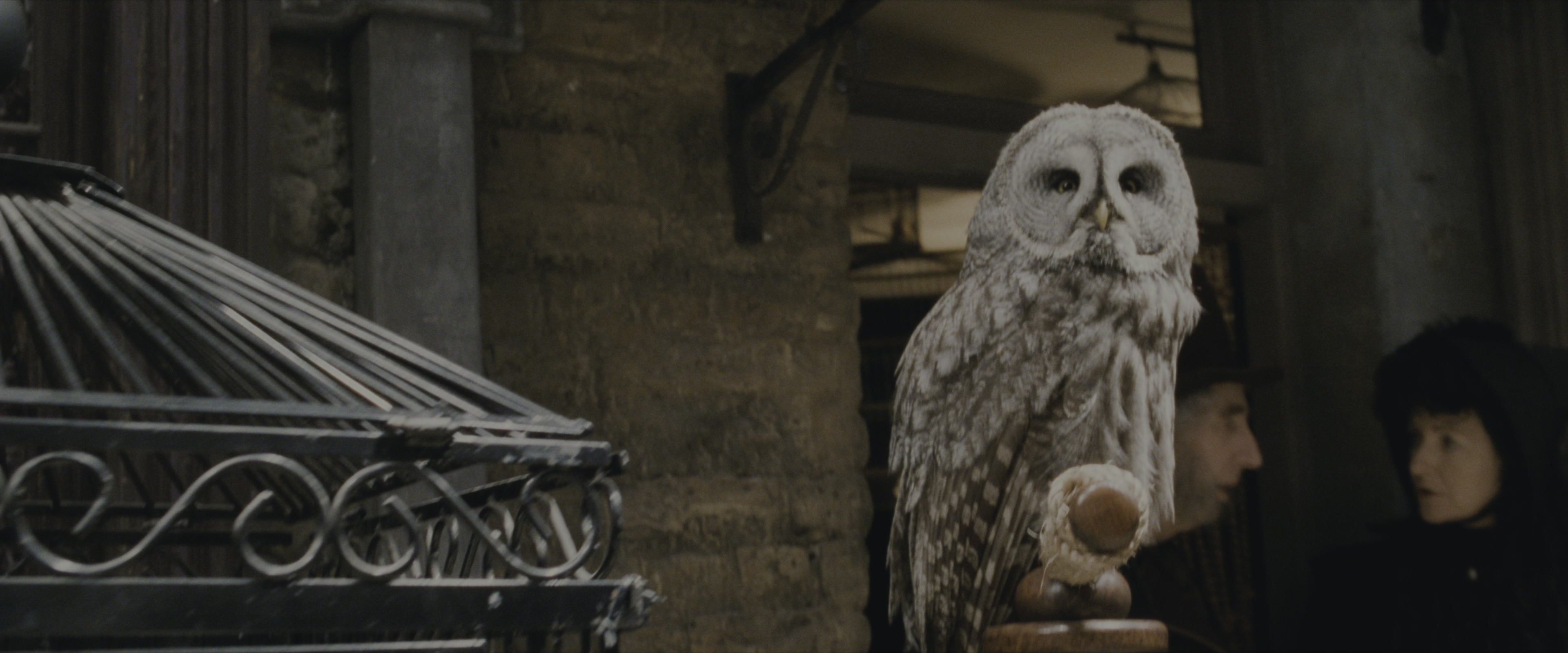 Harry Potter and the Sorcerer's Stone (2001), wide, 2.40:1 — film still