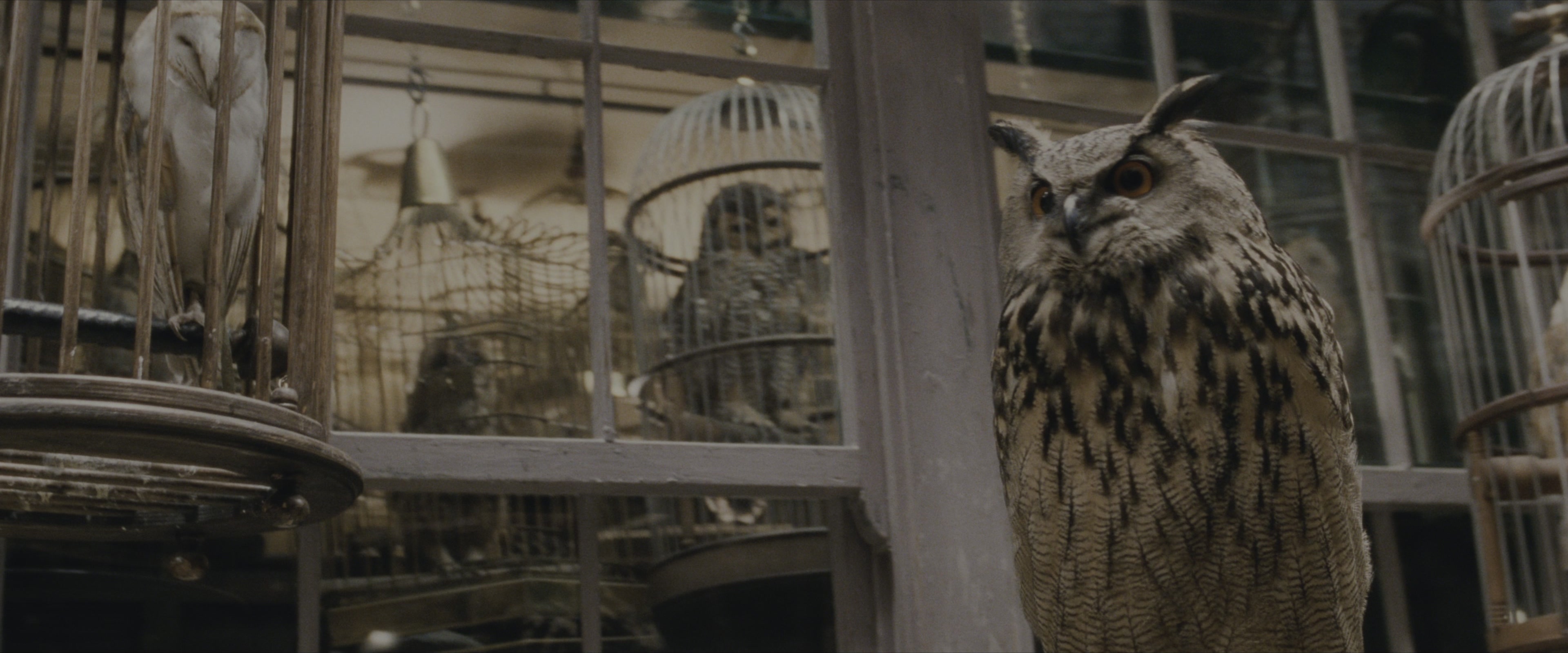 Harry Potter and the Sorcerer's Stone (2001), wide, 2.40:1 — film still