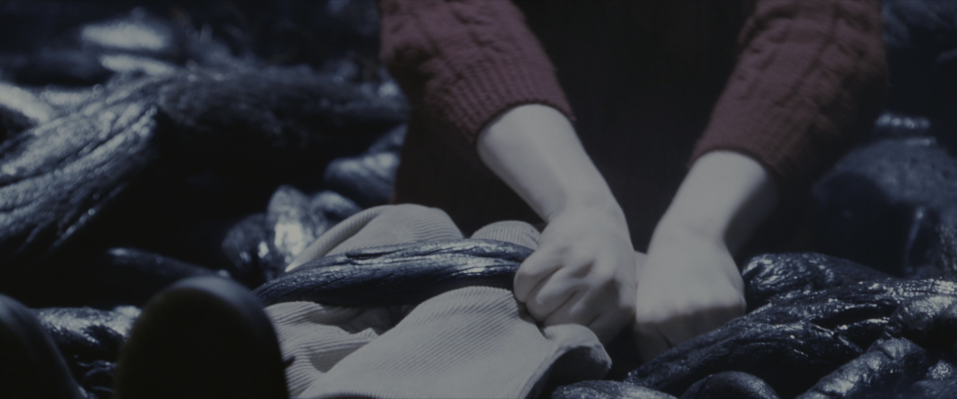 Harry Potter and the Sorcerer's Stone (2001), wide, 2.40:1 — film still