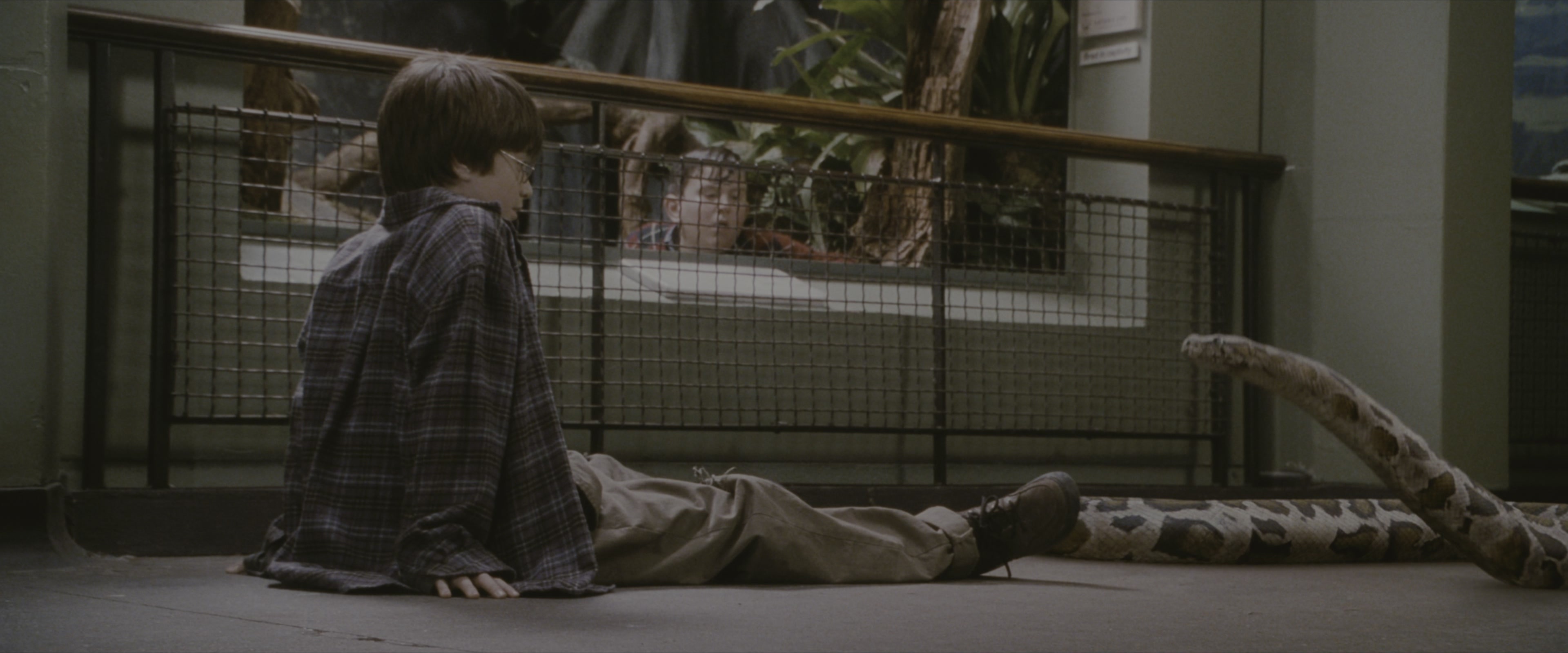 Harry Potter and the Sorcerer's Stone (2001), wide, 2.40:1 — film still