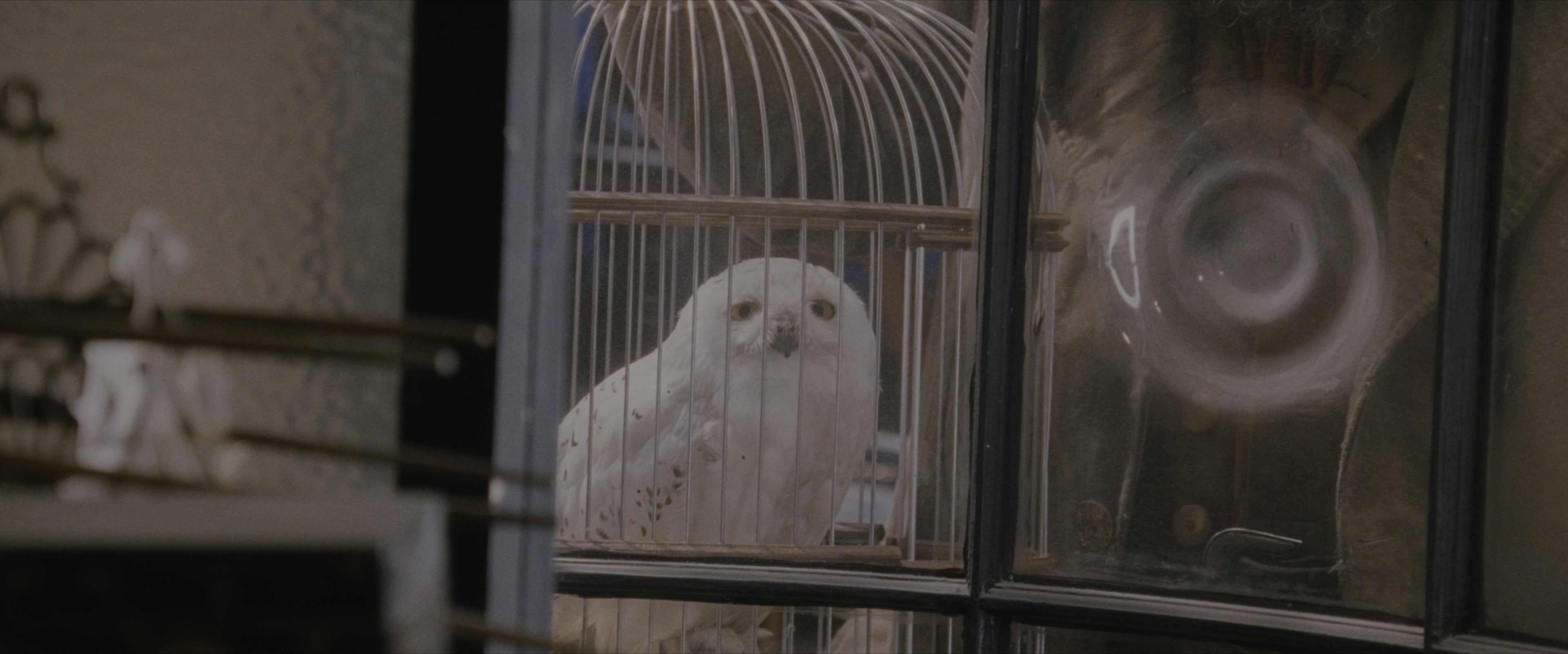 Harry Potter and the Sorcerer's Stone (2001), wide, 2.40:1 — film still