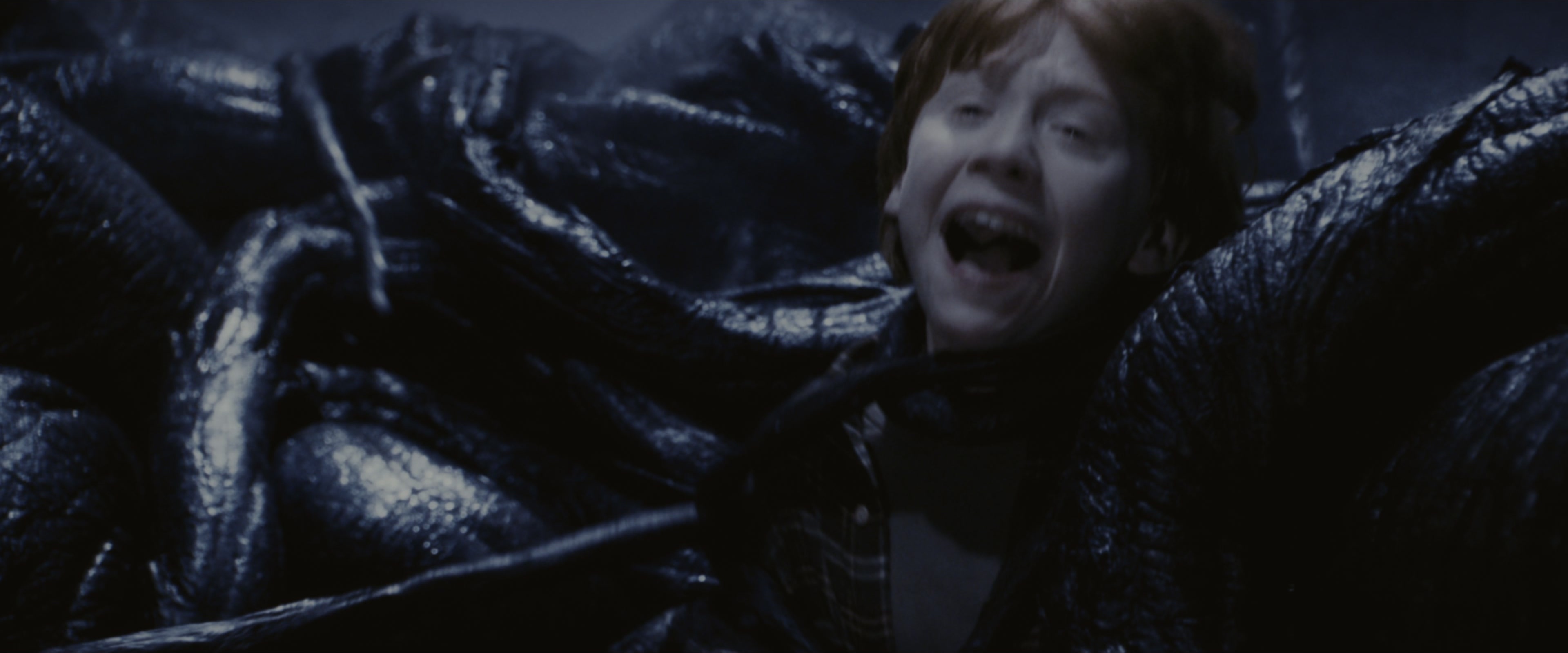 Harry Potter and the Sorcerer's Stone (2001), wide, 2.40:1 — film still