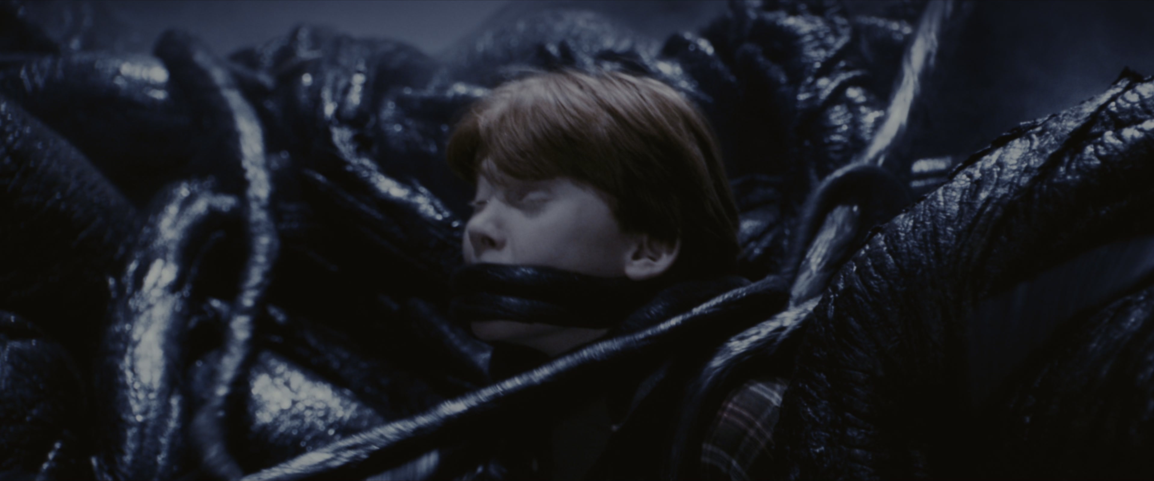 Harry Potter and the Sorcerer's Stone (2001), wide, 2.40:1 — film still