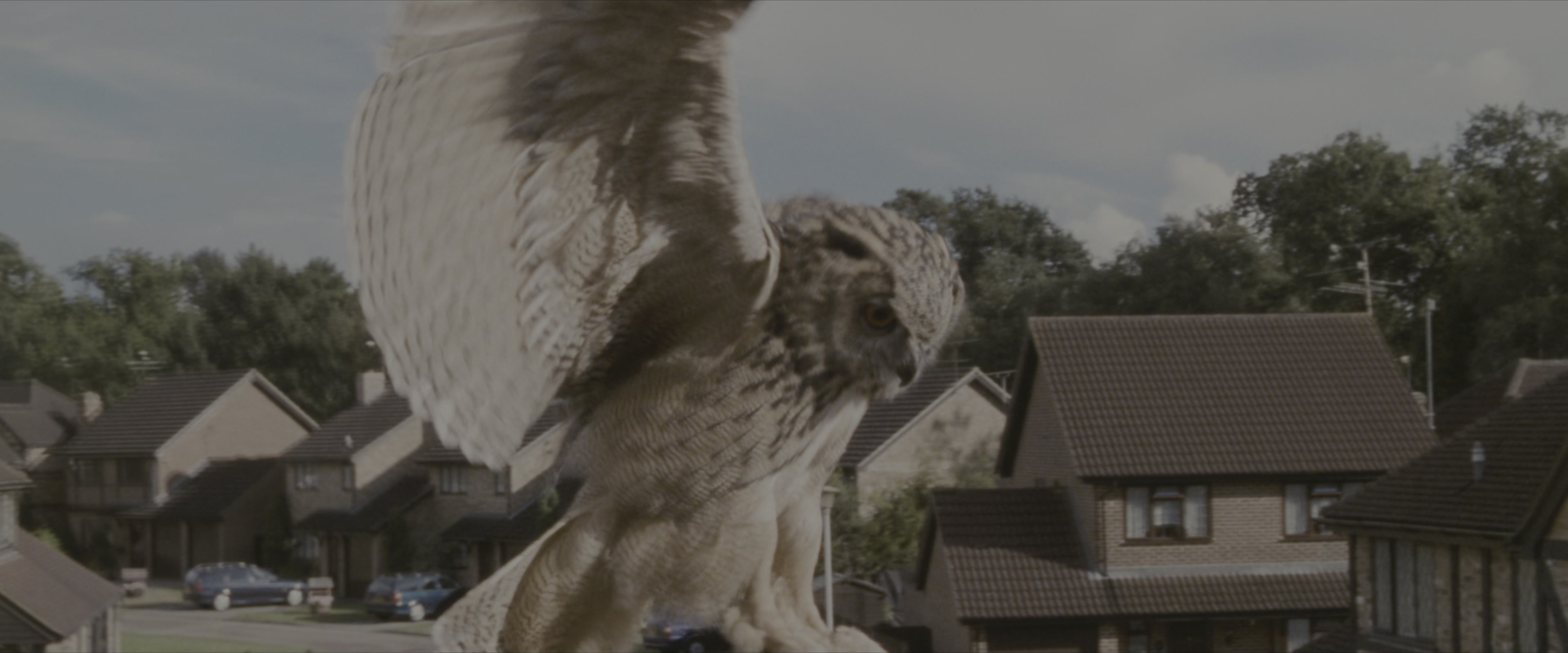 Harry Potter and the Sorcerer's Stone (2001), wide, 2.40:1 — film still