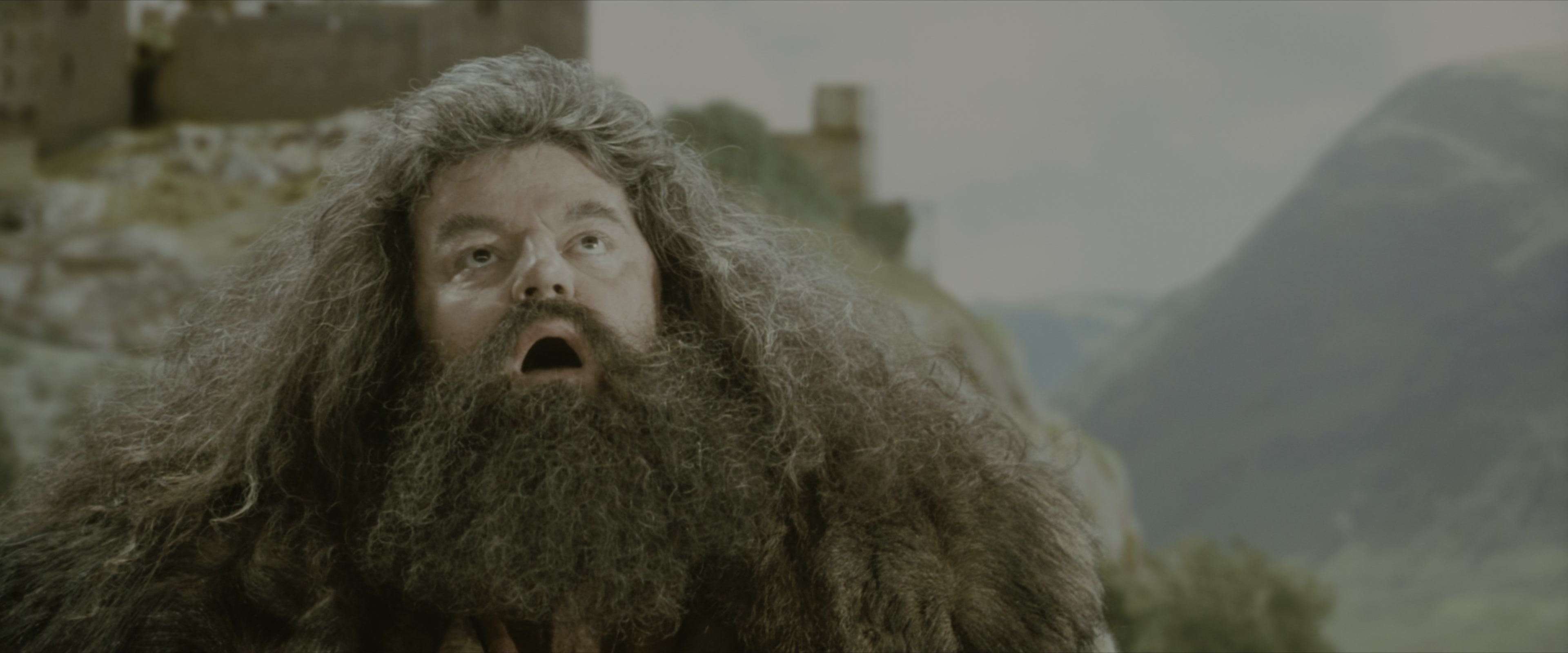 Harry Potter and the Sorcerer's Stone (2001), medium, 2.40:1 — film still