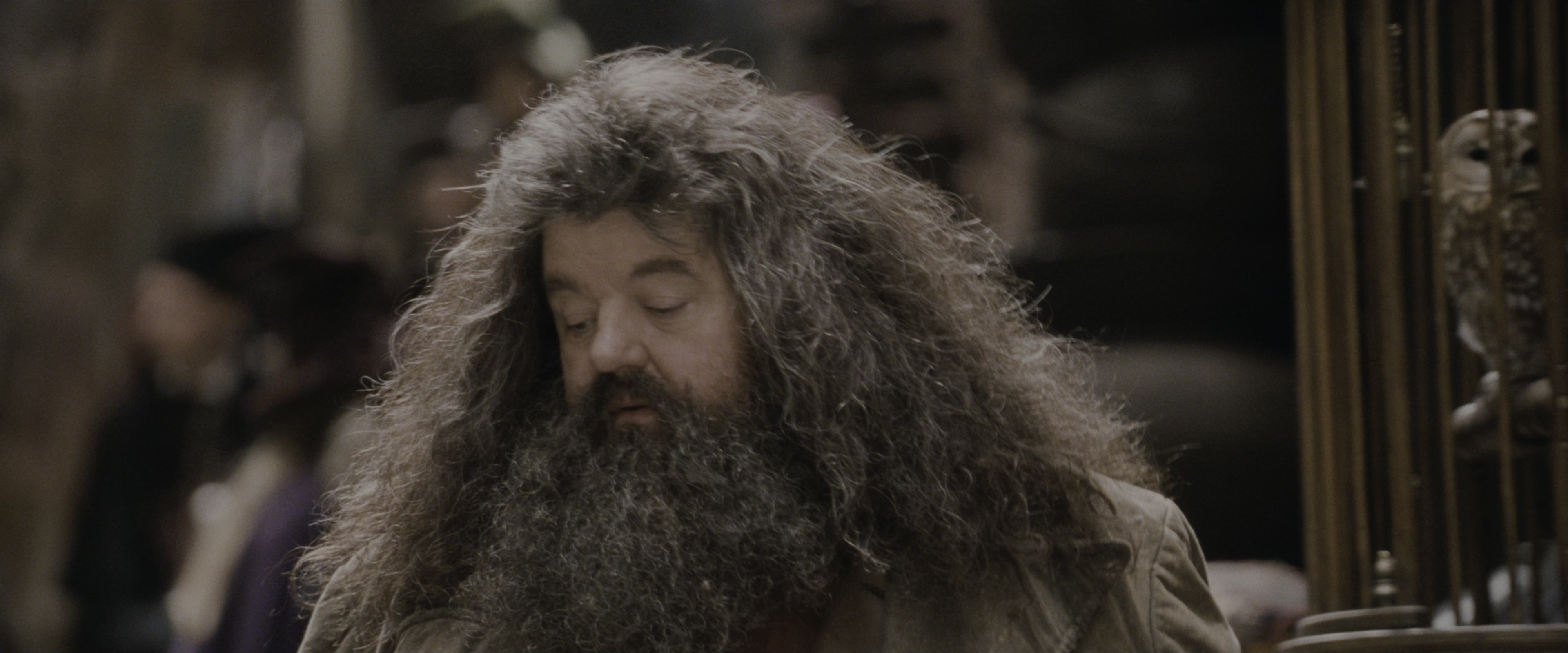 Harry Potter and the Sorcerer's Stone (2001), wide, 2.40:1 — film still