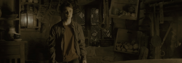 Harry Potter and the Half-Blood Prince — film still