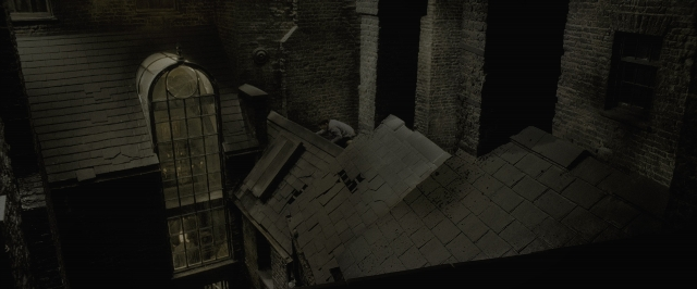 Wide shot frame from Harry Potter and the Half-Blood Prince — standing, bird, person