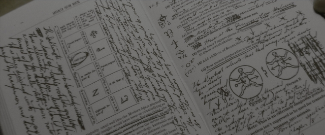 Wide shot frame from Harry Potter and the Half-Blood Prince — book, bird, person