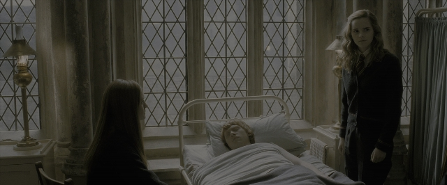 Wide shot frame from Harry Potter and the Half-Blood Prince — sitting, standing, room