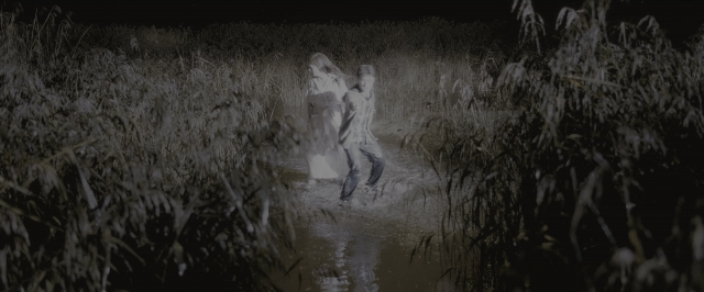 Wide shot frame from Harry Potter and the Half-Blood Prince — walking, night, water