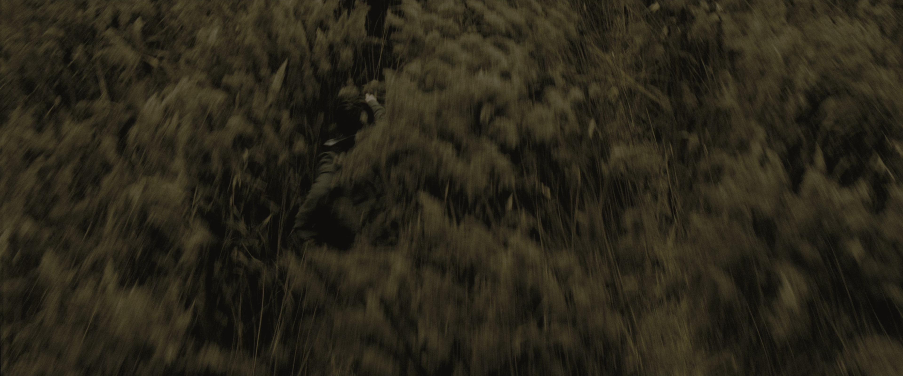 Harry Potter and the Half-Blood Prince (2009), wide, 2.40:1 — film still