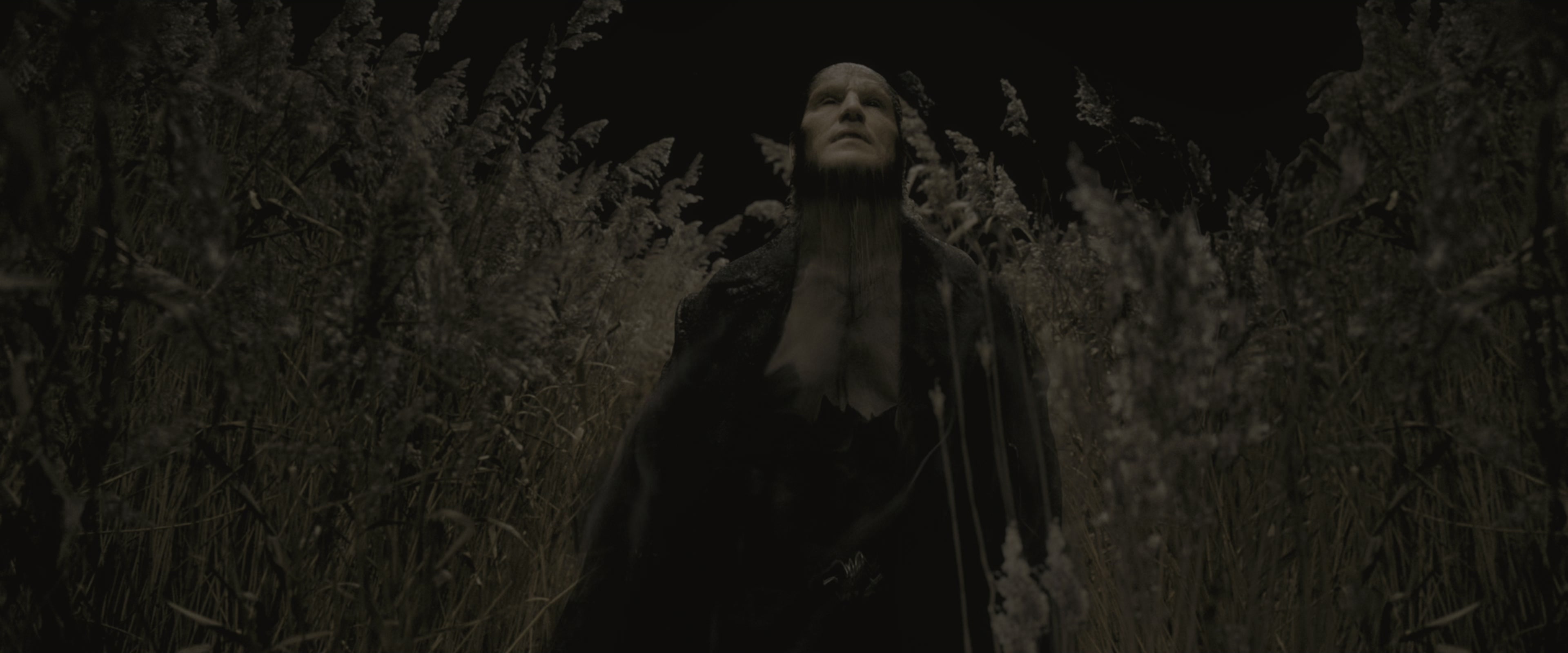 Harry Potter and the Half-Blood Prince (2009), wide, 2.40:1 — film still