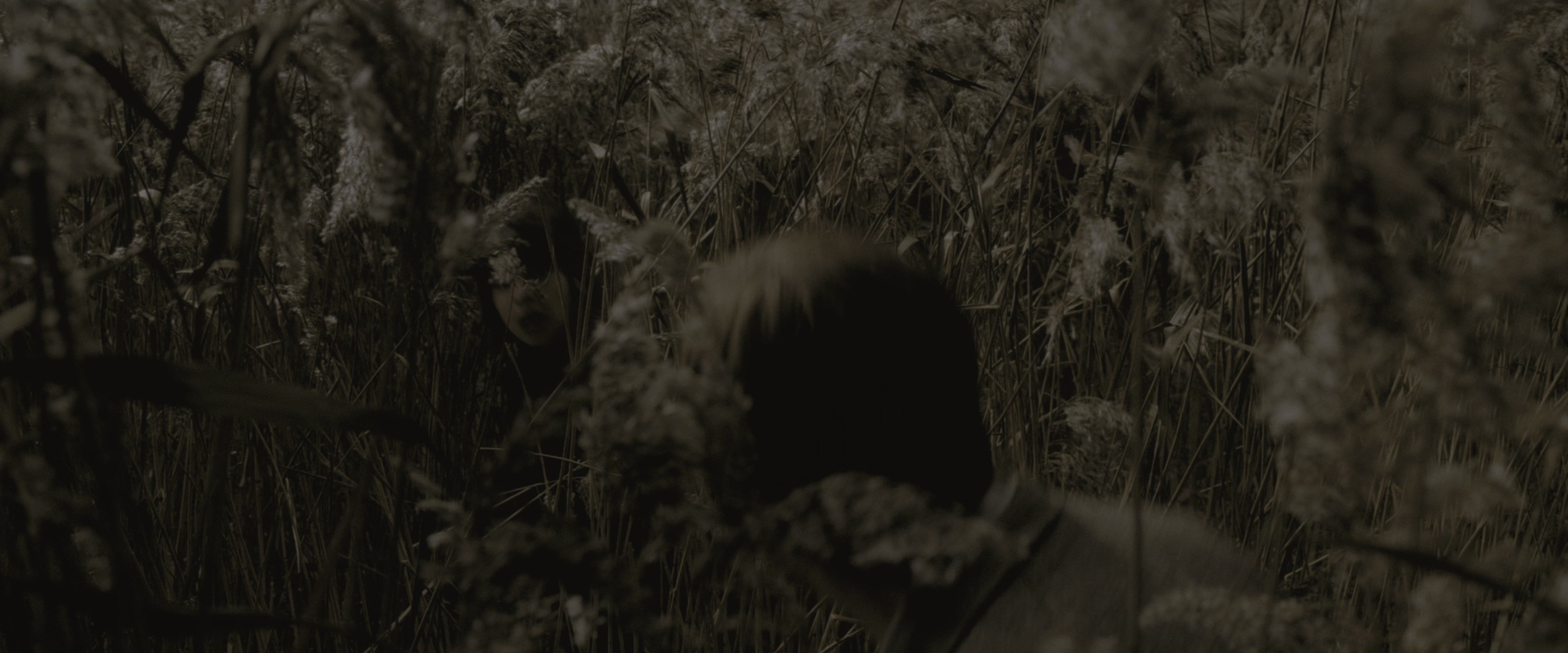 Harry Potter and the Half-Blood Prince (2009), wide, 2.40:1 — film still