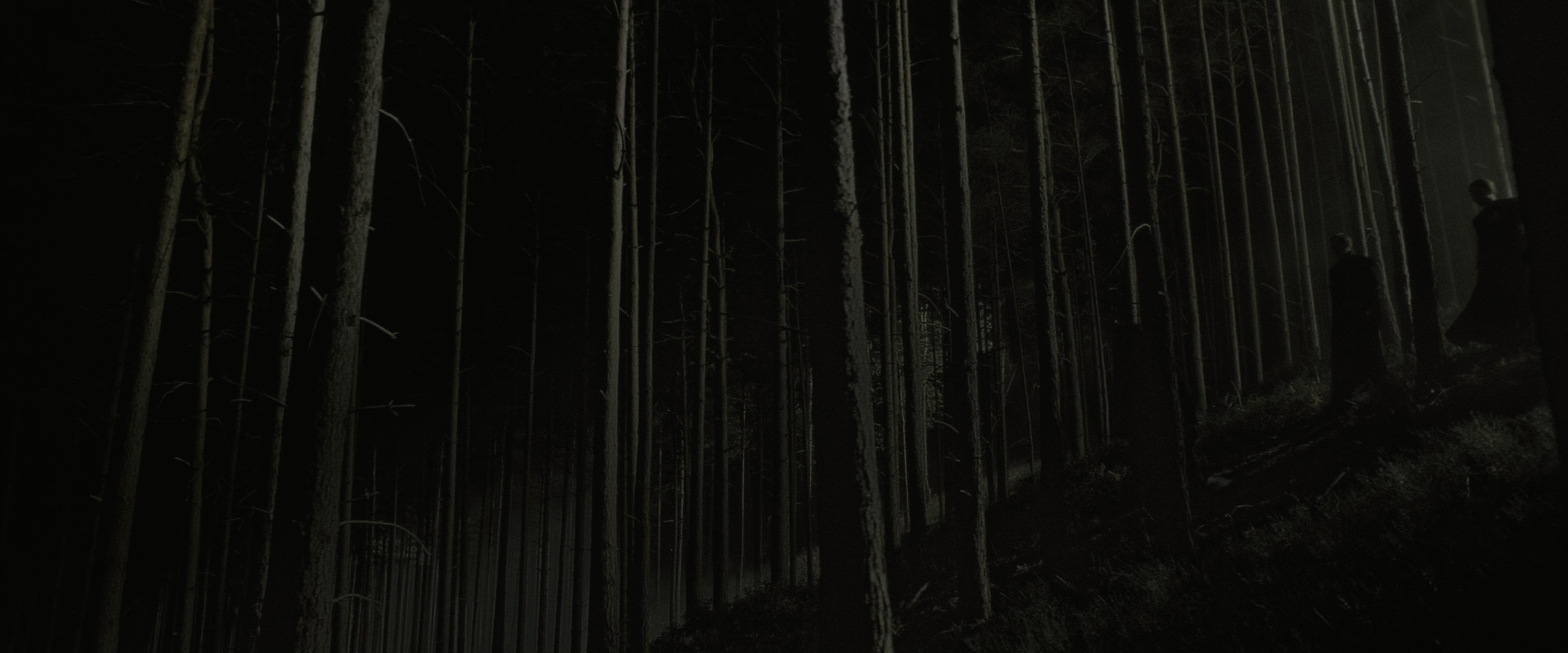 Harry Potter and the Half-Blood Prince (2009), wide, 2.40:1 — film still