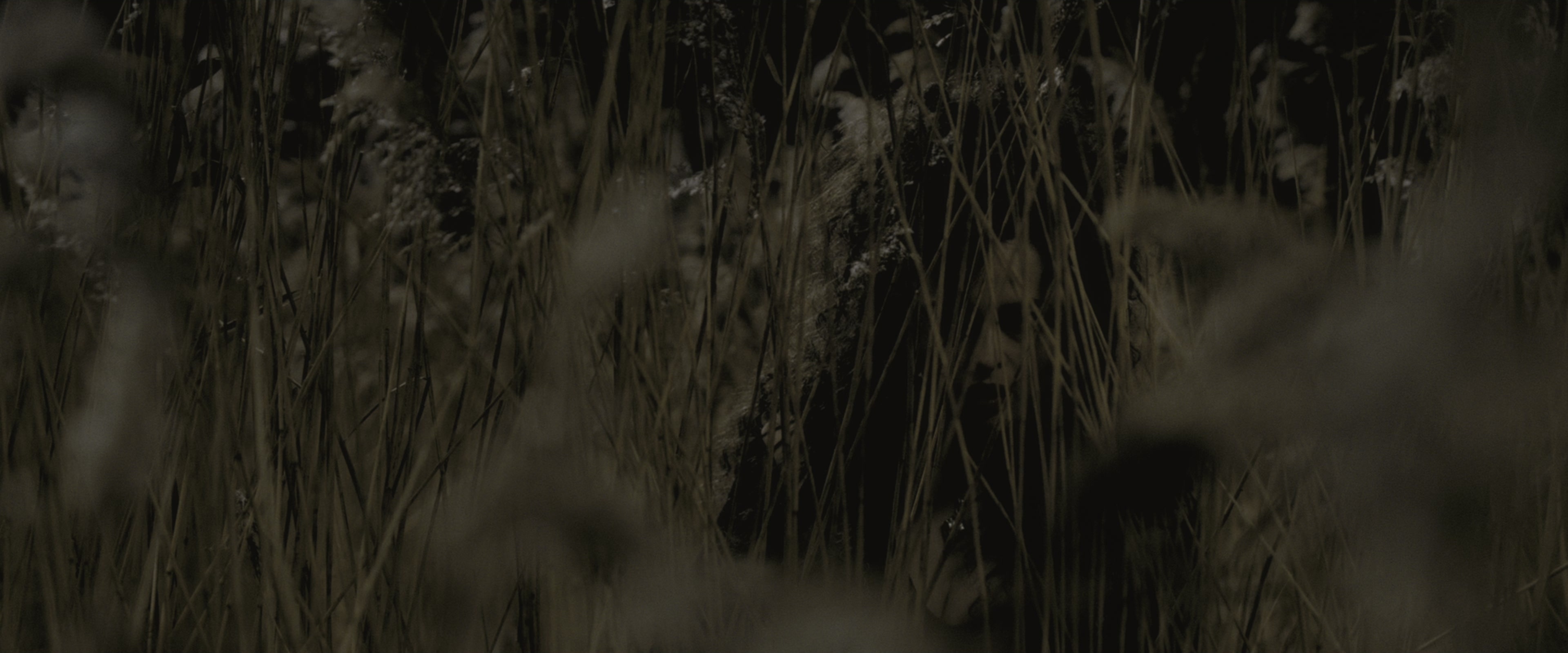 Harry Potter and the Half-Blood Prince (2009), wide, 2.40:1 — film still