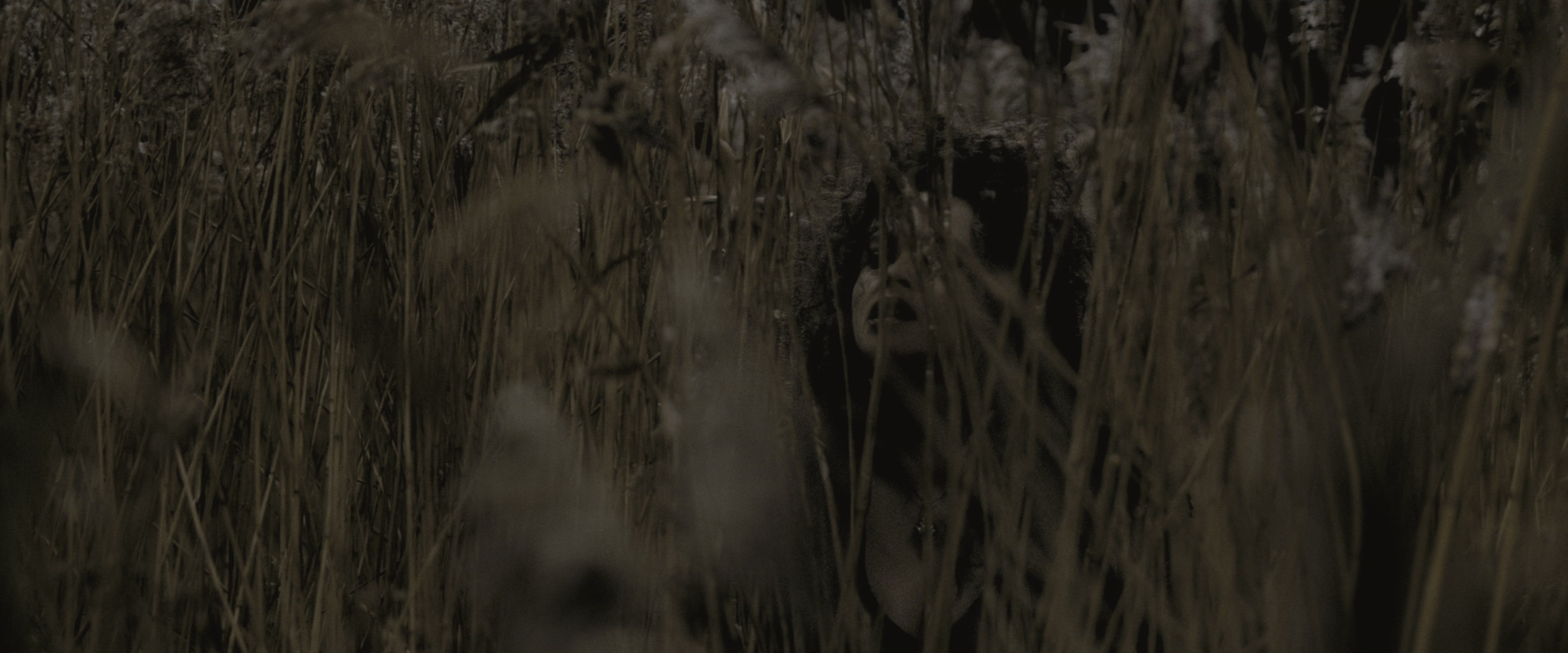 Harry Potter and the Half-Blood Prince (2009), wide, 2.40:1 — film still