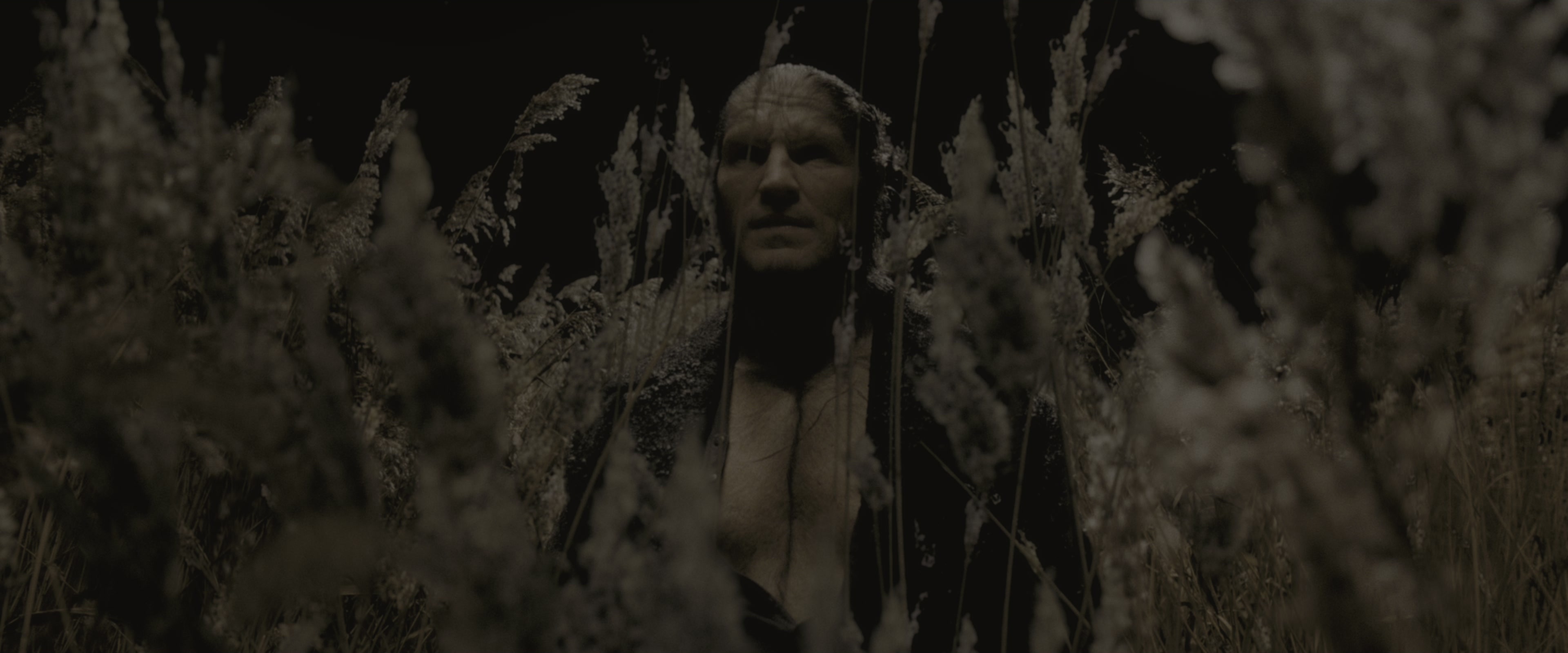Harry Potter and the Half-Blood Prince (2009), wide, 2.40:1 — film still