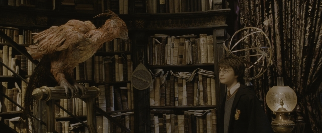 Wide shot frame from Harry Potter and the Chamber of Secrets — book, standing, face