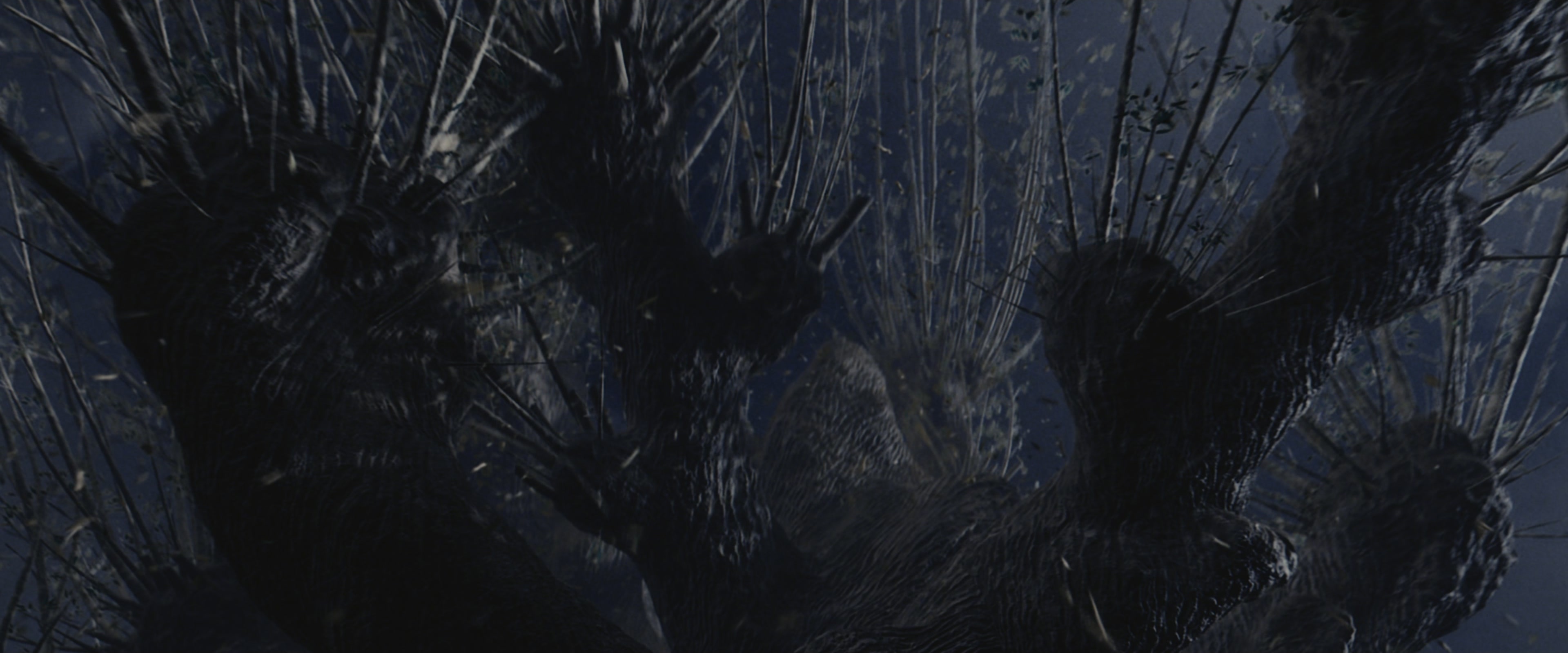 Harry Potter and the Chamber of Secrets (2002), wide, 2.40:1 — film still