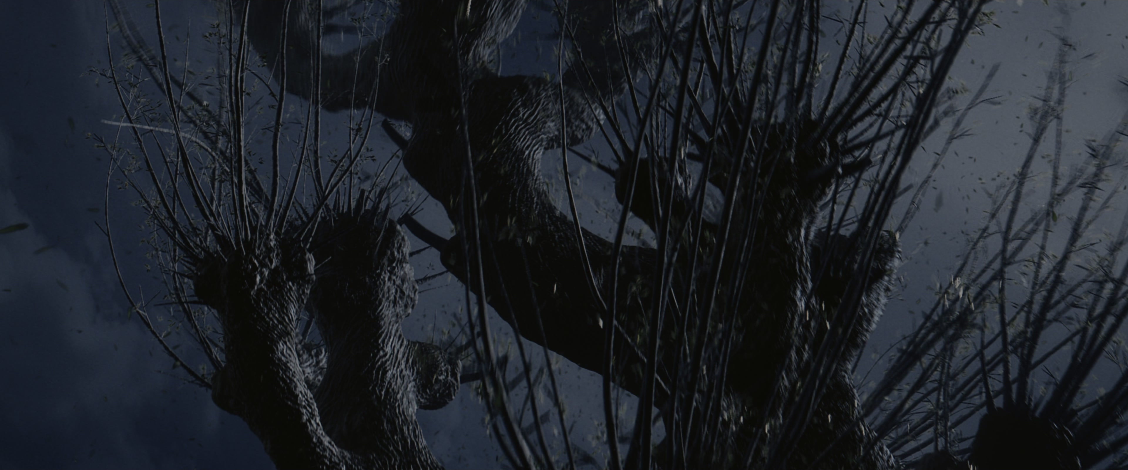 Harry Potter and the Chamber of Secrets (2002), wide, 2.40:1 — film still