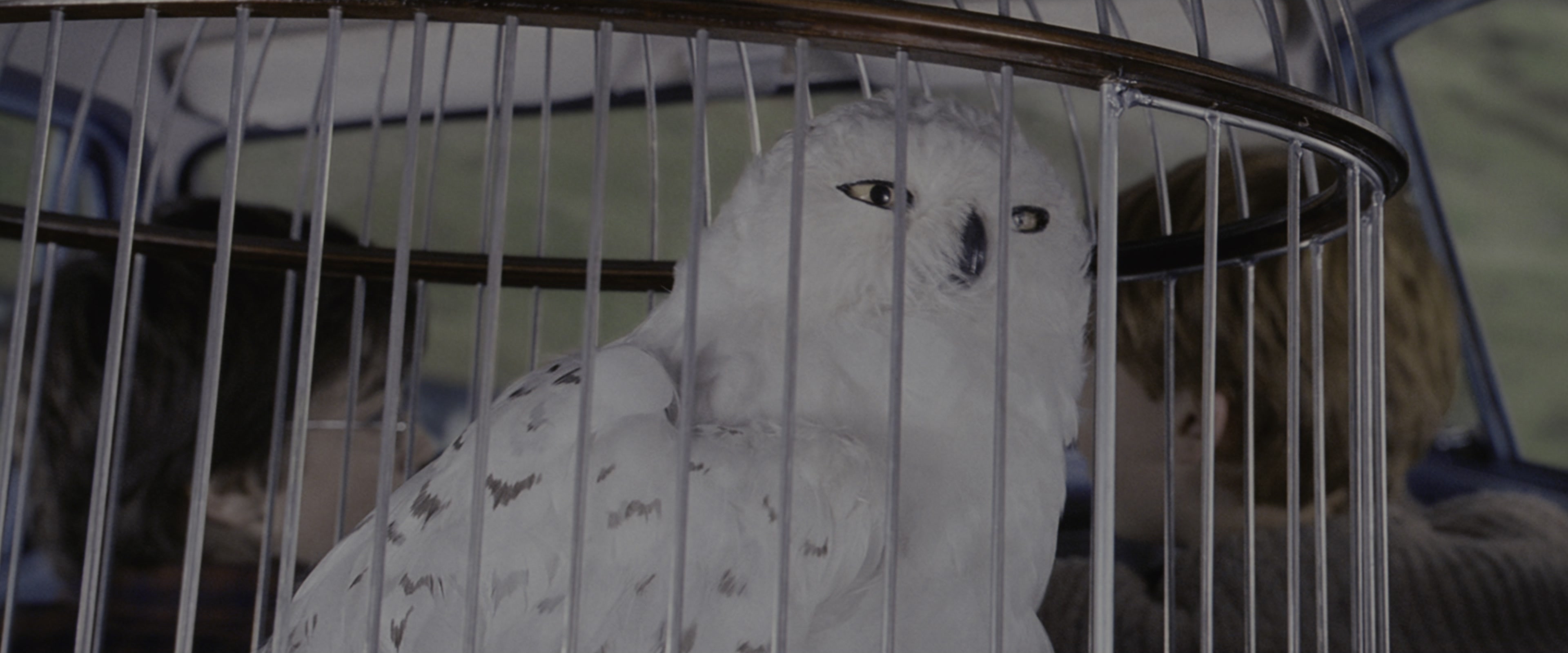Harry Potter and the Chamber of Secrets (2002), wide, 2.40:1 — film still