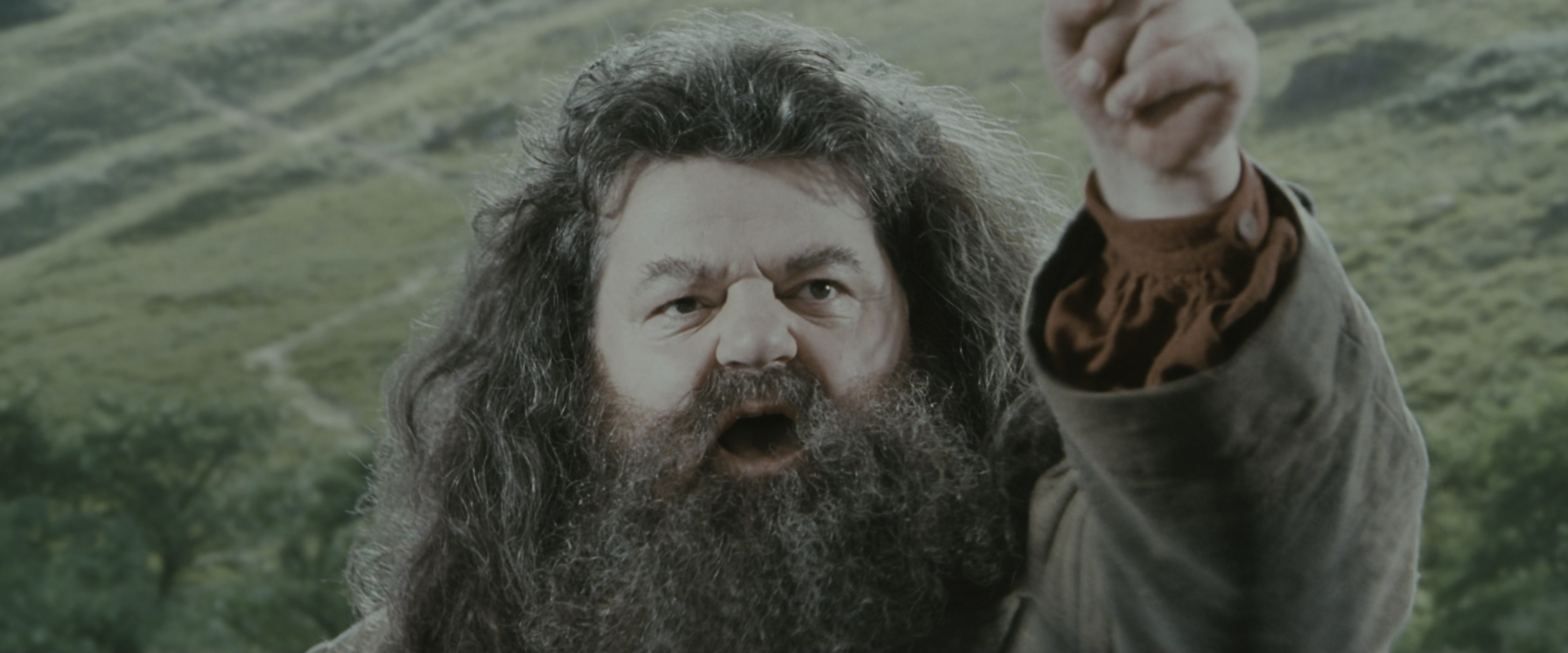 Harry Potter and the Chamber of Secrets (2002), medium, 2.40:1 — film still