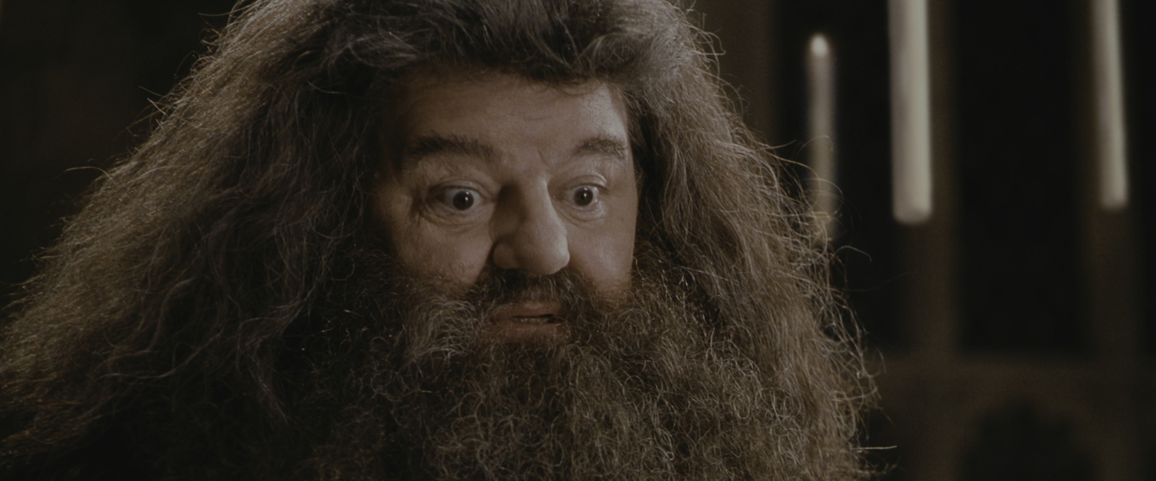 Harry Potter and the Chamber of Secrets (2002), medium, 2.40:1 — film still