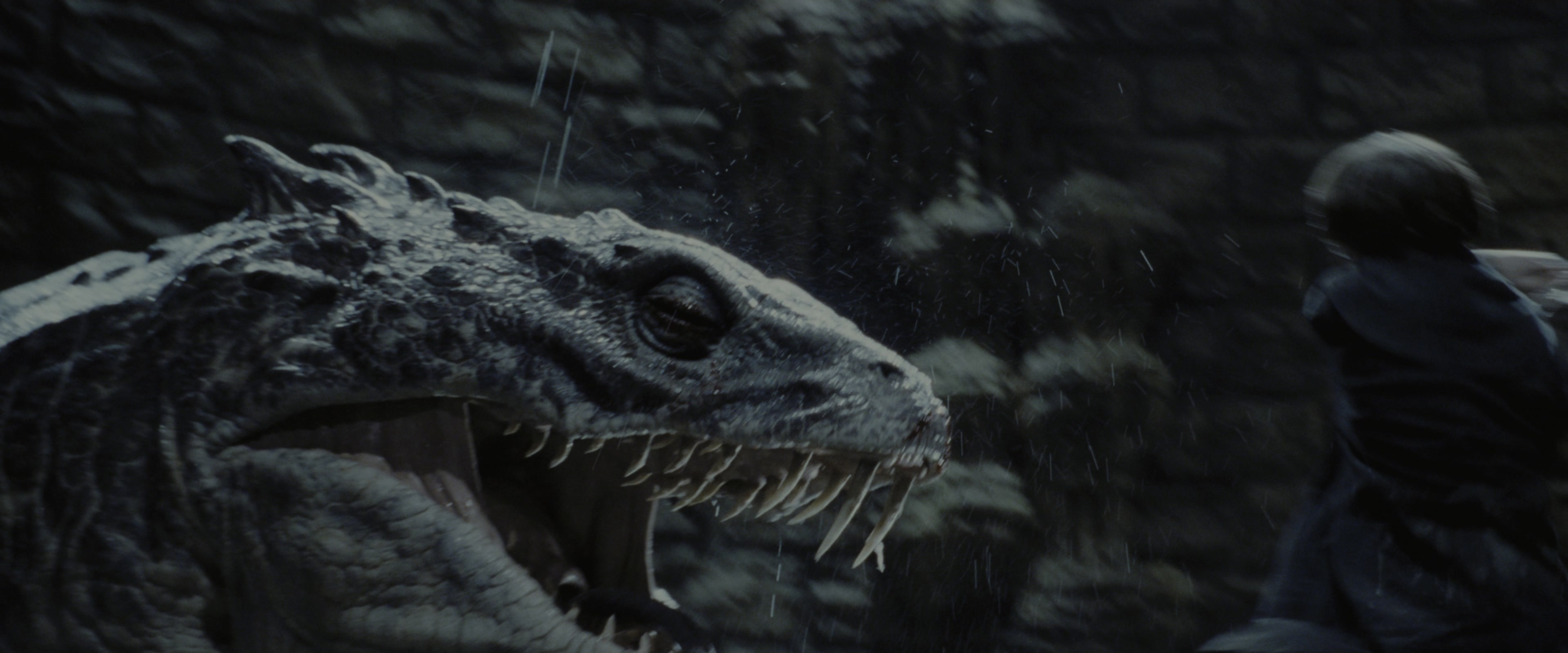 Harry Potter and the Chamber of Secrets (2002), wide, 2.40:1 — film still