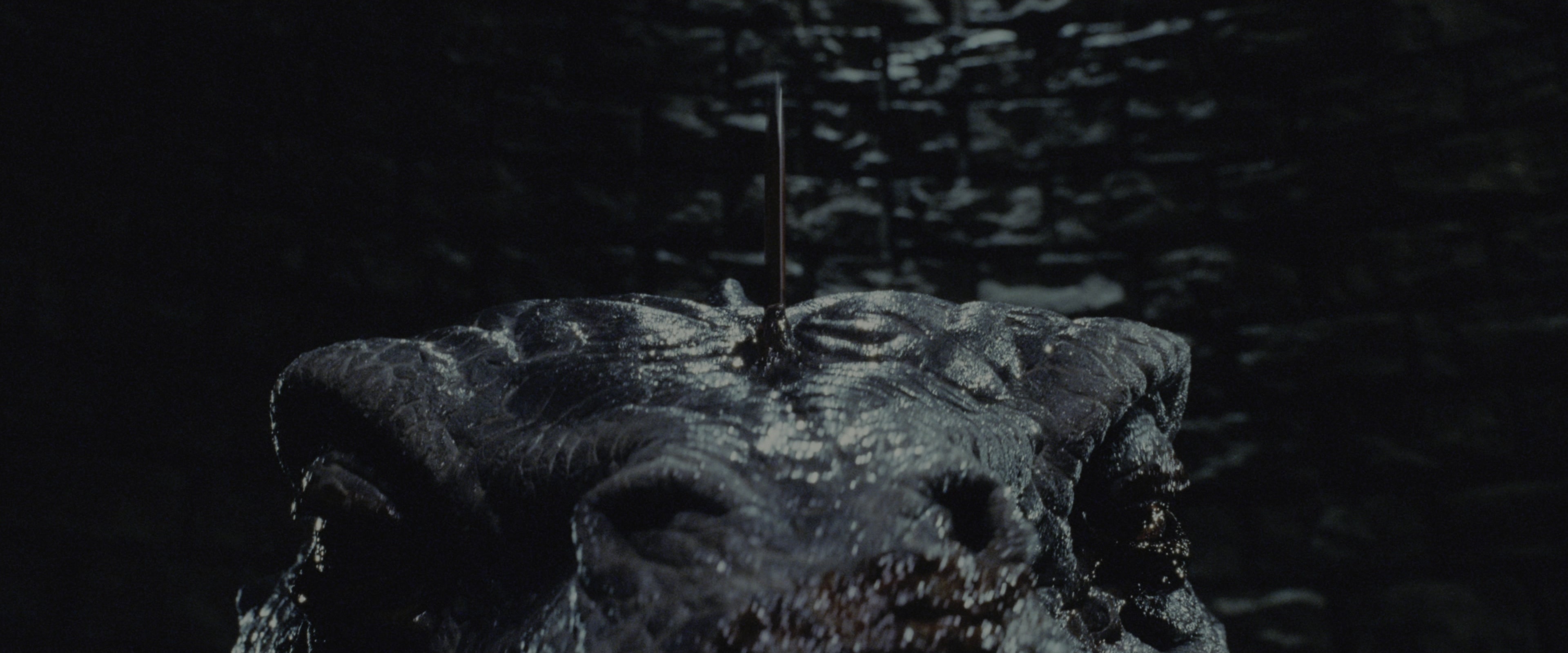 Harry Potter and the Chamber of Secrets (2002), wide, 2.40:1 — film still
