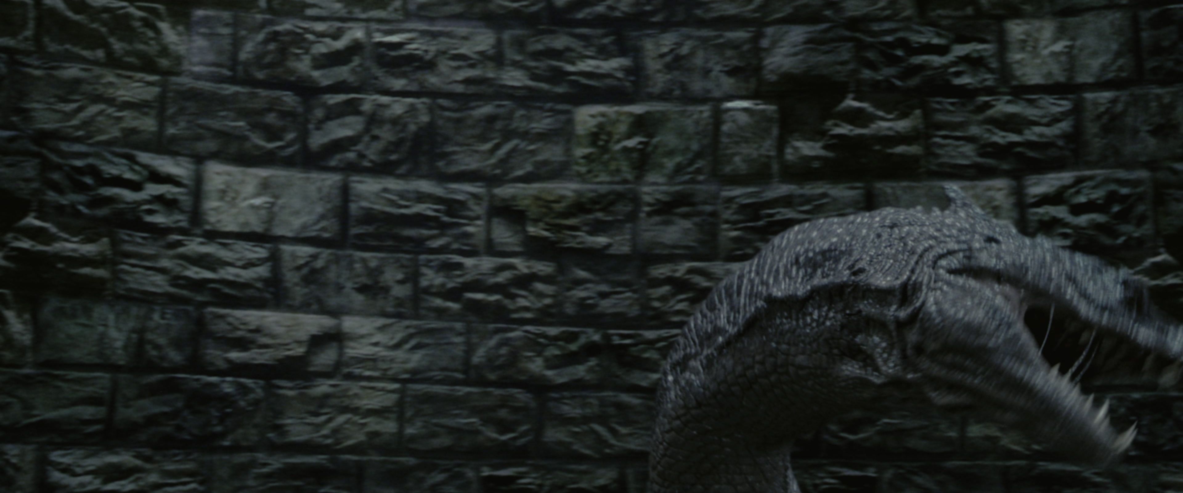 Harry Potter and the Chamber of Secrets (2002), wide, 2.40:1 — film still