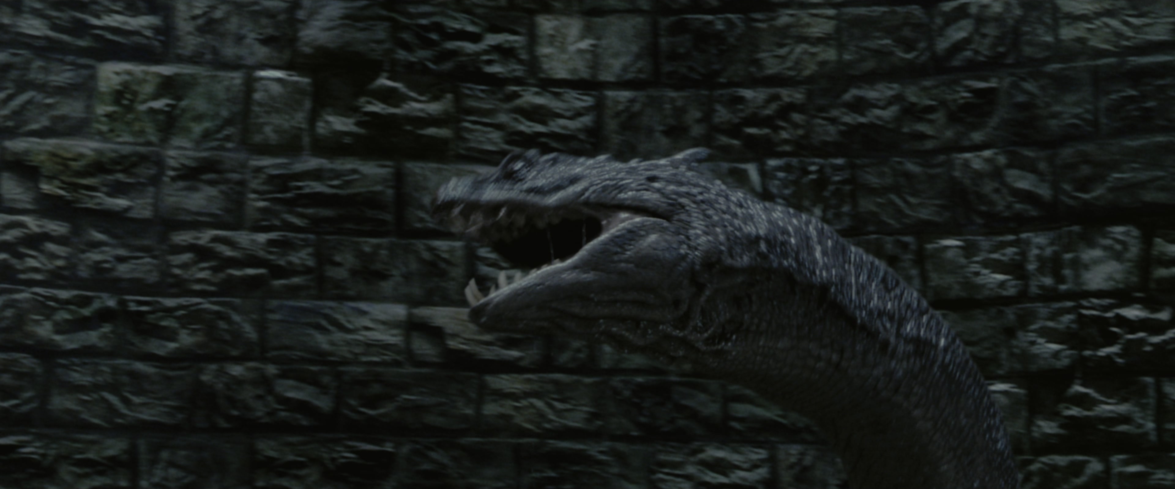 Harry Potter and the Chamber of Secrets (2002), wide, 2.40:1 — film still
