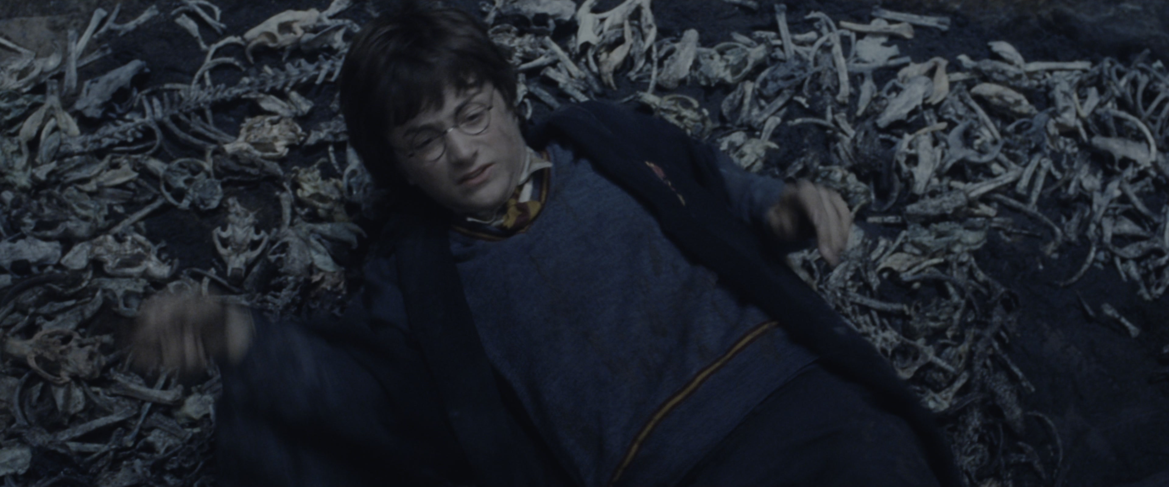 Harry Potter and the Chamber of Secrets (2002), wide, 2.40:1 — film still