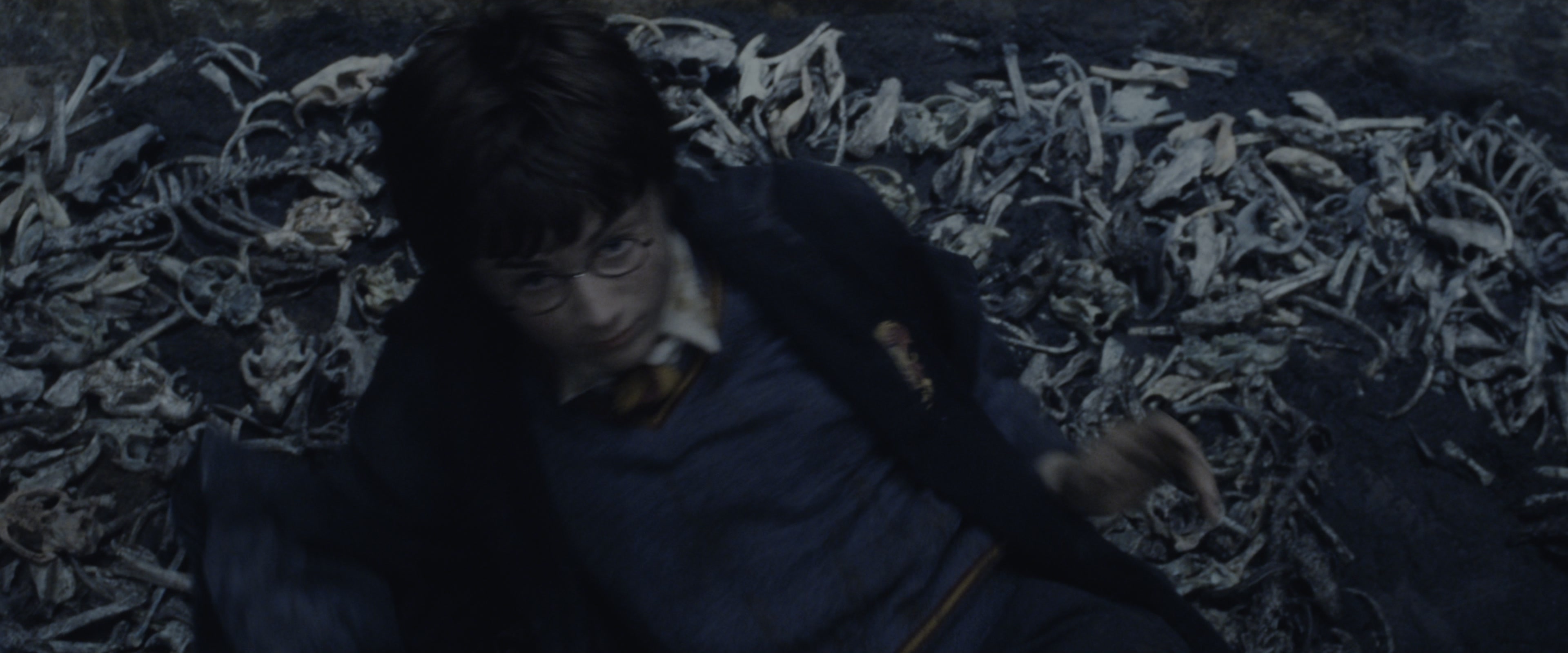 Harry Potter and the Chamber of Secrets (2002), wide, 2.40:1 — film still