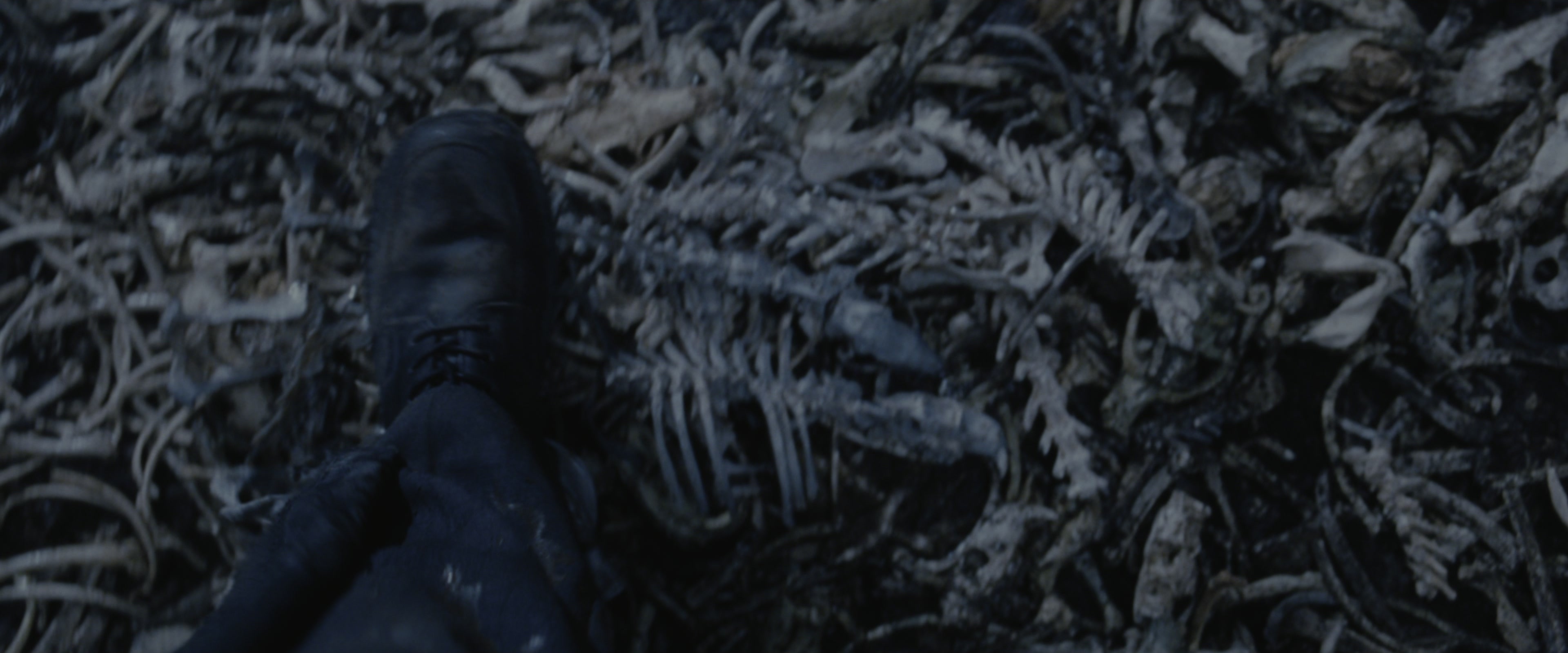 Harry Potter and the Chamber of Secrets (2002), wide, 2.40:1 — film still