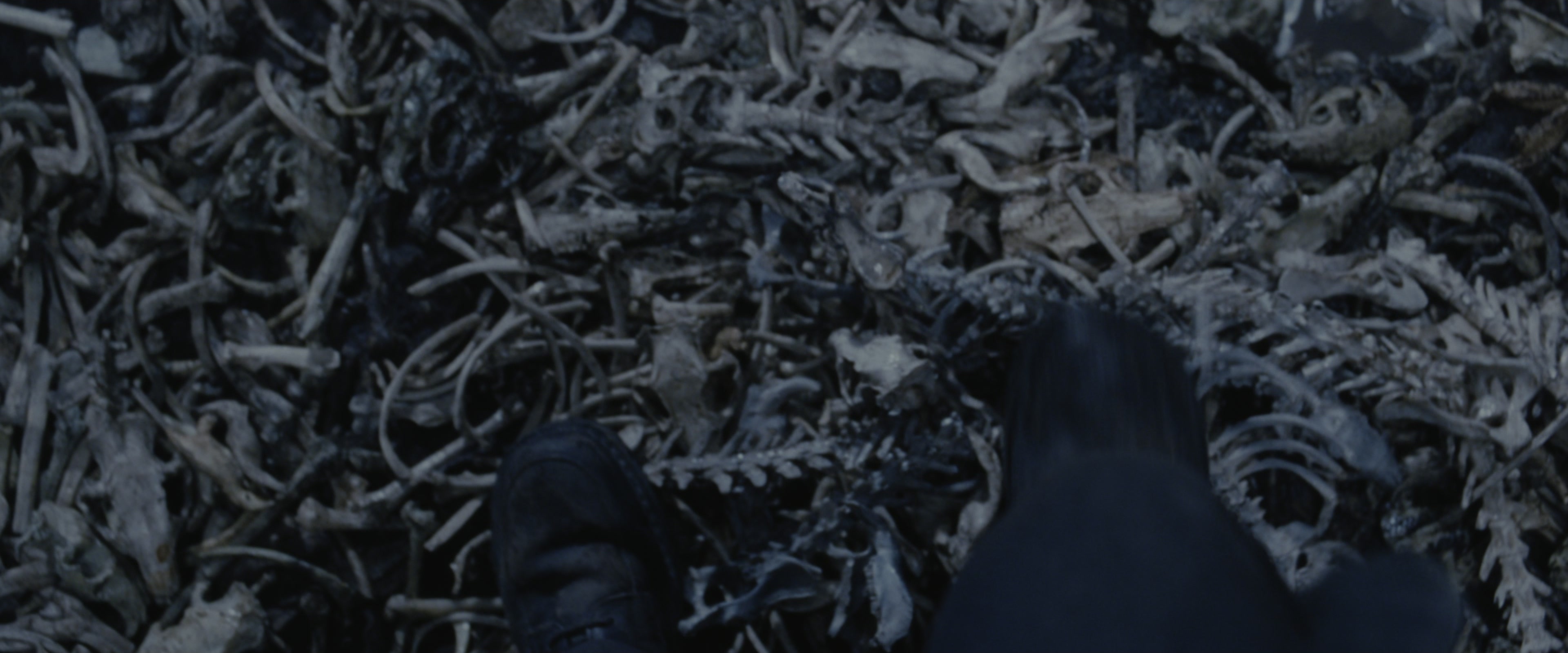 Harry Potter and the Chamber of Secrets (2002), wide, 2.40:1 — film still